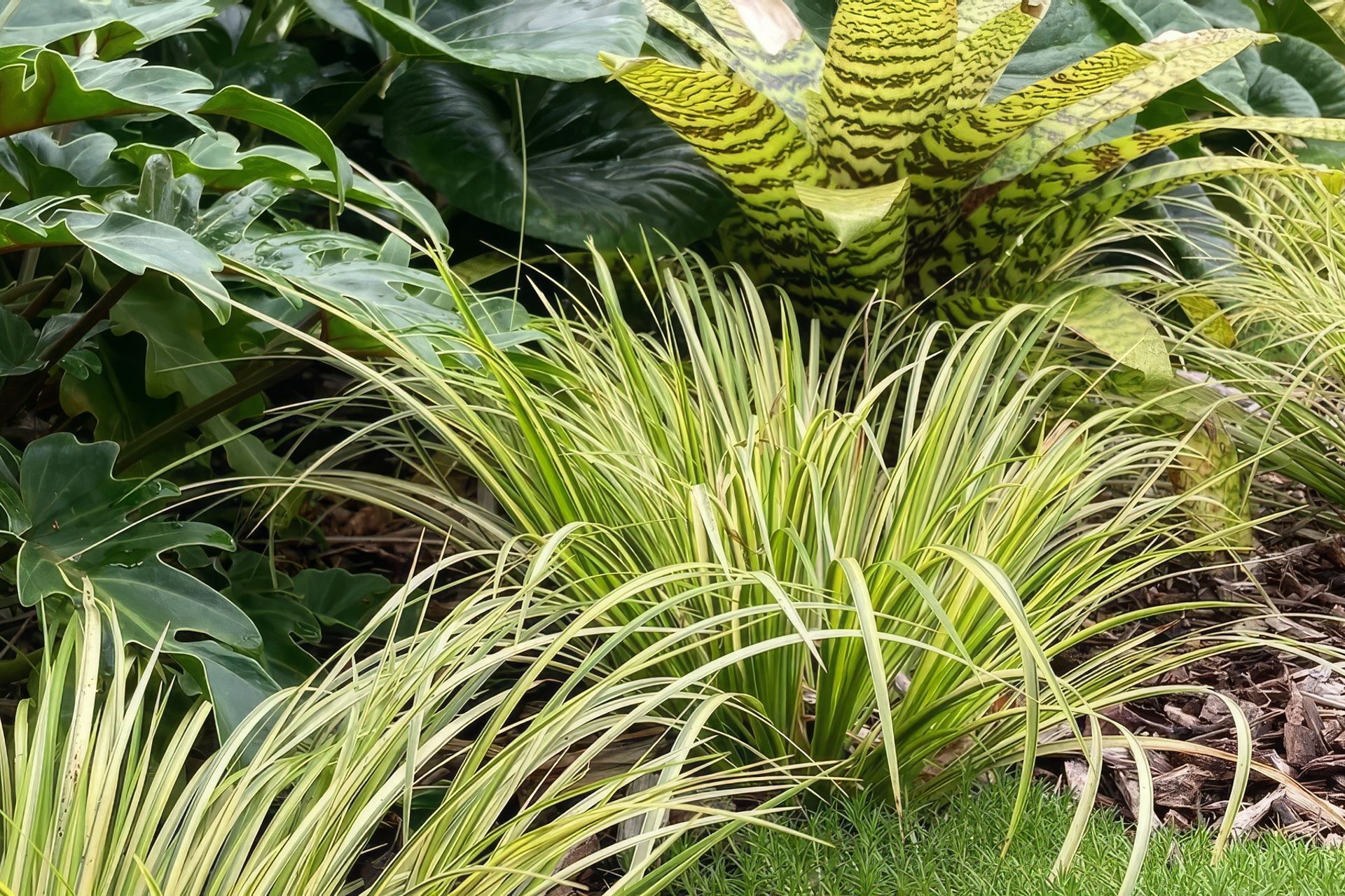 Supporting Image 2 for Rongoa Landscapes