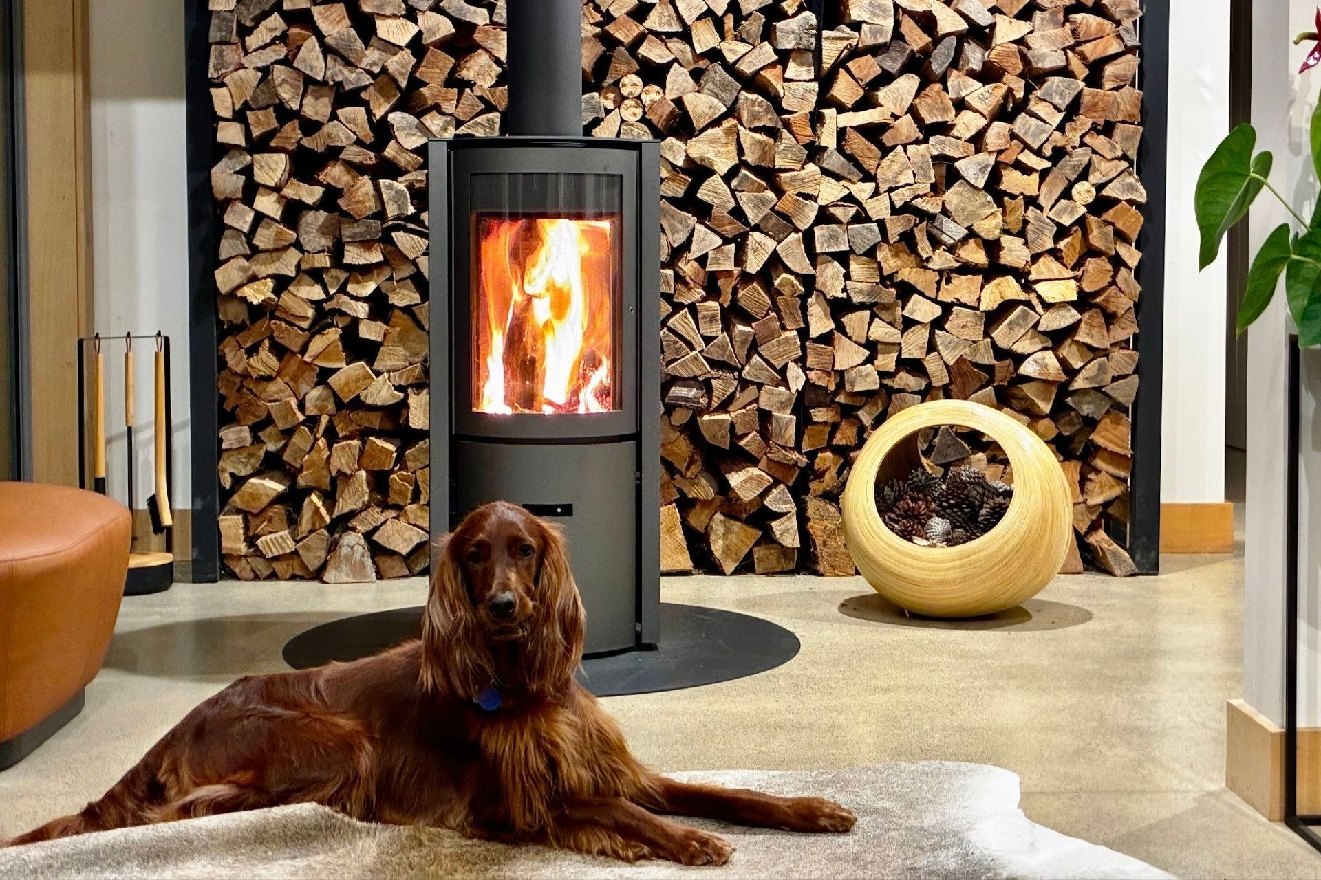 Supporting Image 3 for Designs for Fires