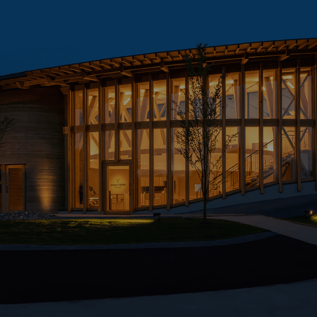Vectorworks