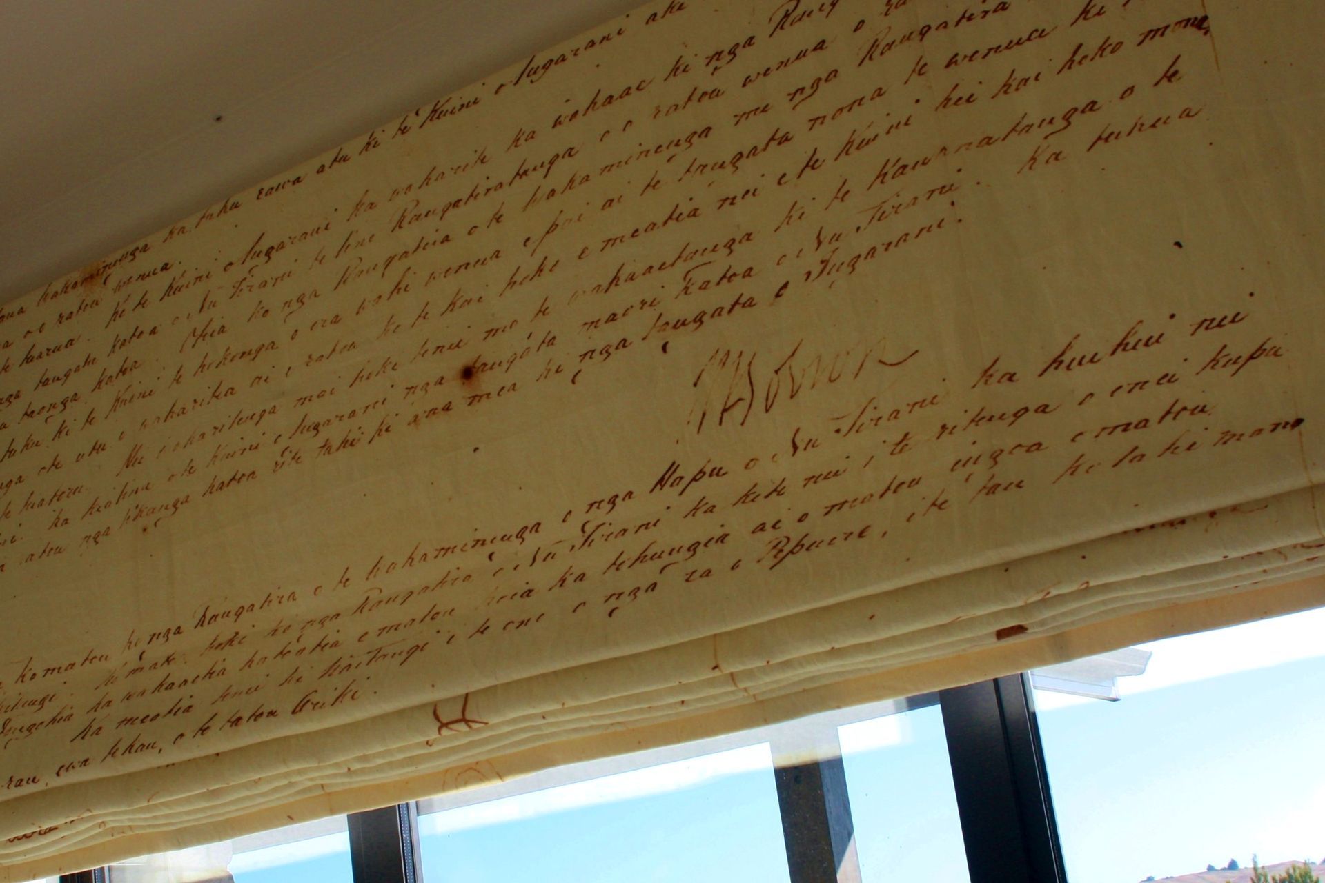 Hero Banner for Sue James Design