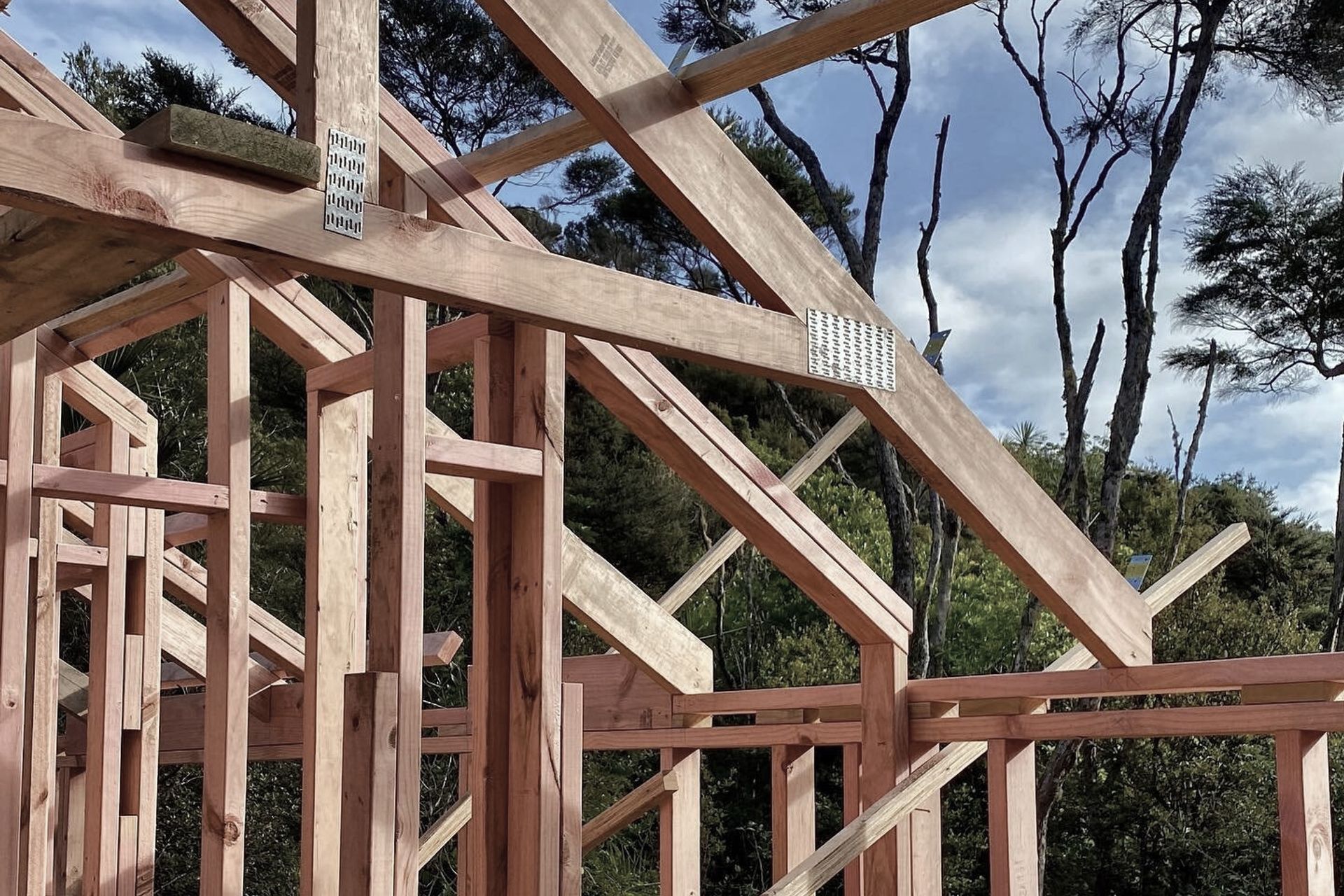 Supporting Image 1 for Island 2000 NZ