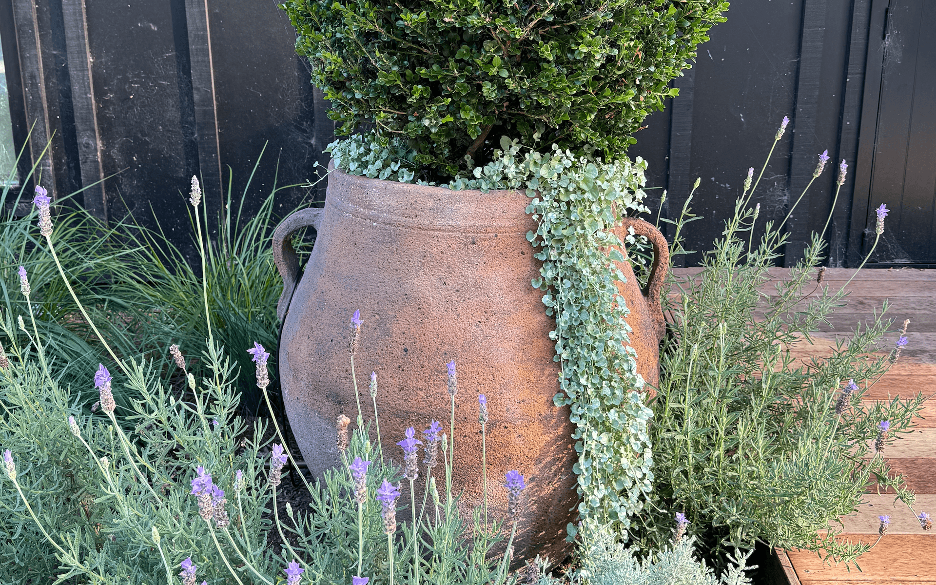 Supporting Image 2 for Gardeners Emporium