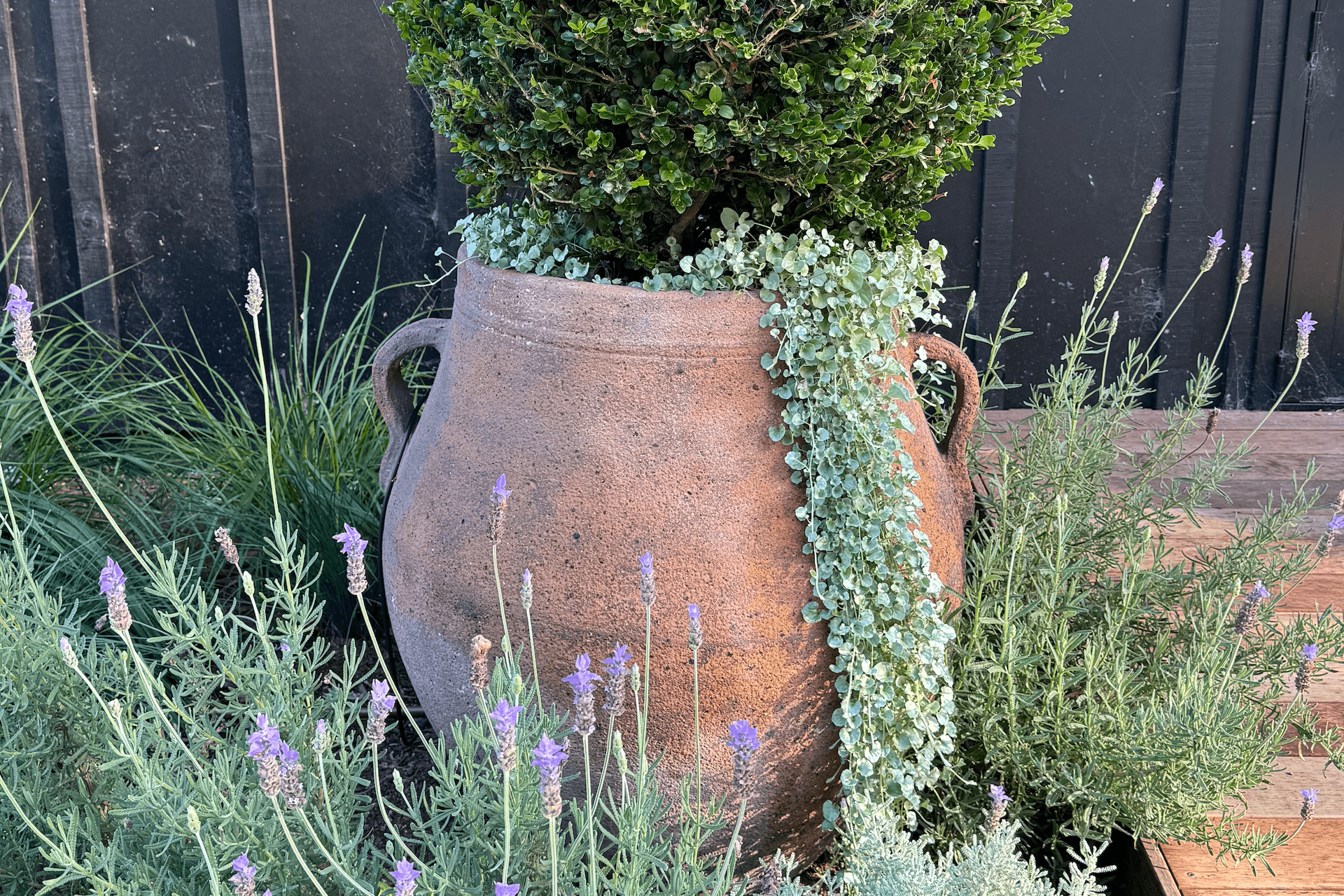 Supporting Image 2 for Gardeners Emporium
