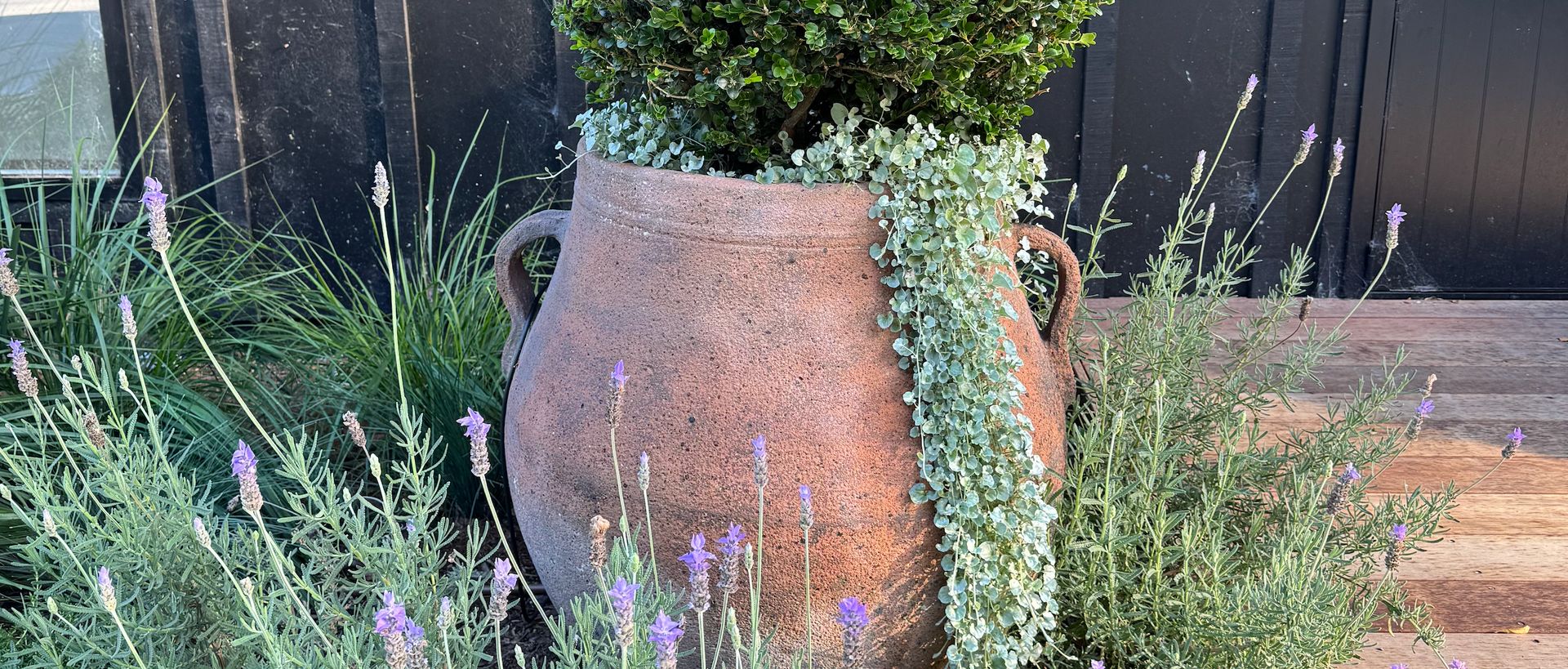 Supporting Image 3 for Gardeners Emporium
