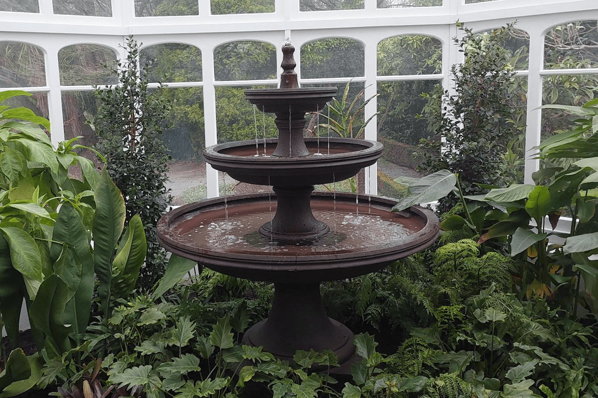 Supporting Image 4 for Gardeners Emporium