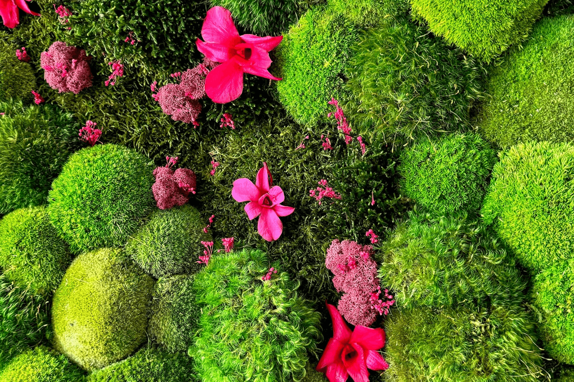 Supporting Image 3 for Gardeners Emporium