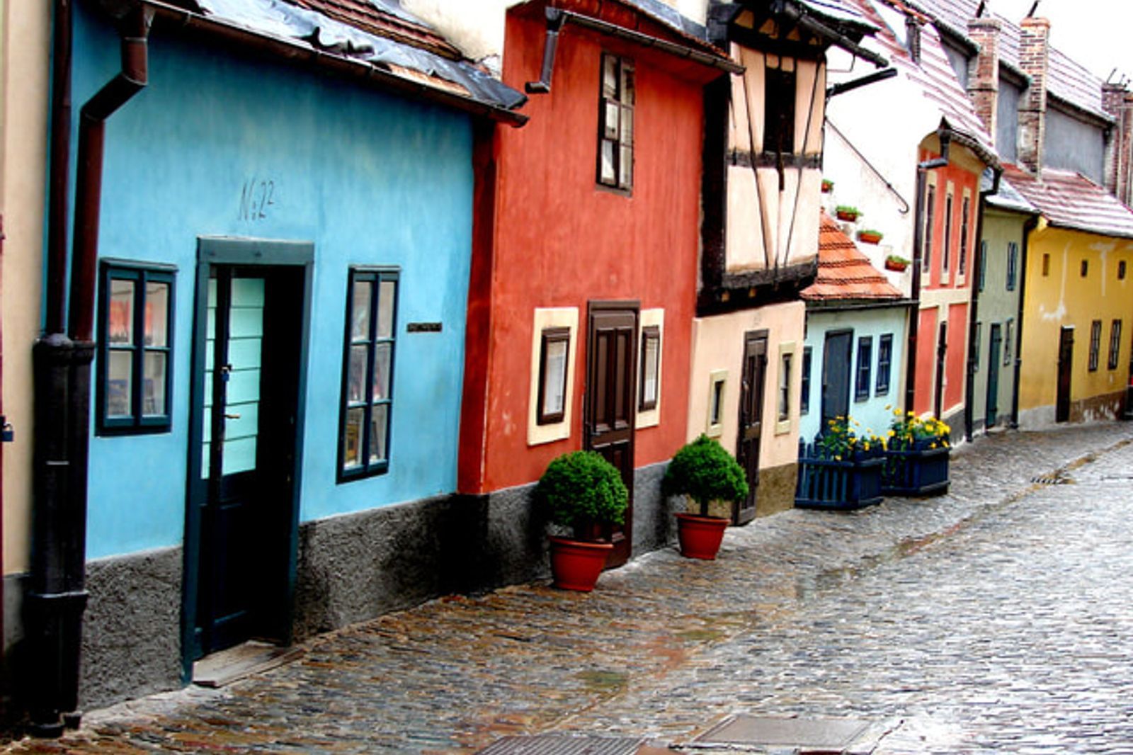 Bloom Painting and Decorating