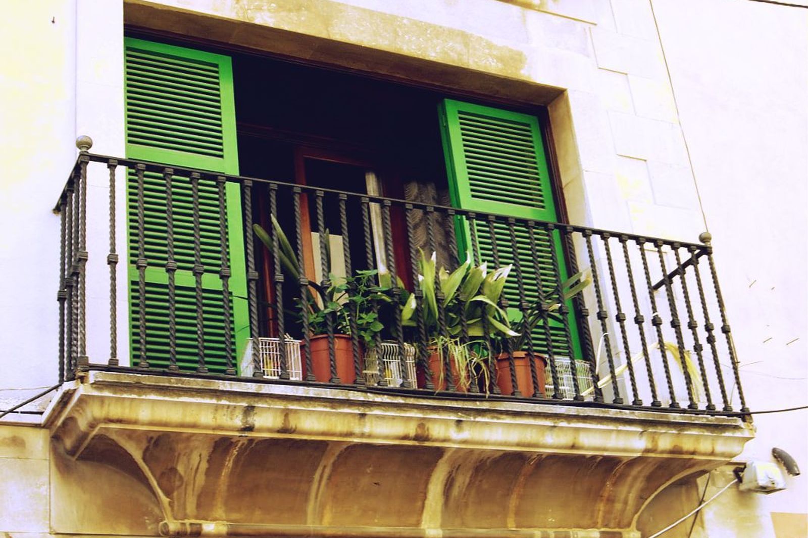 Bloom Painting and Decorating