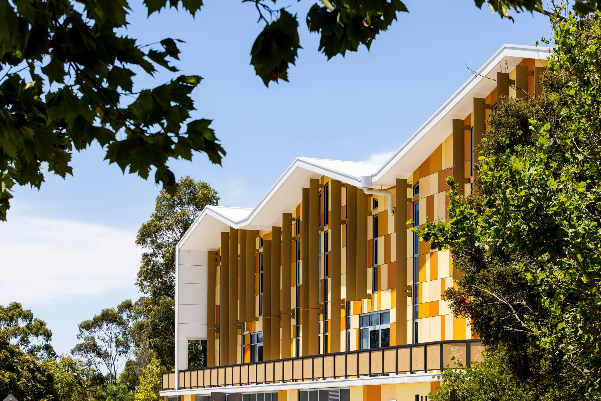 Supporting Image 1 for Evan Maclean