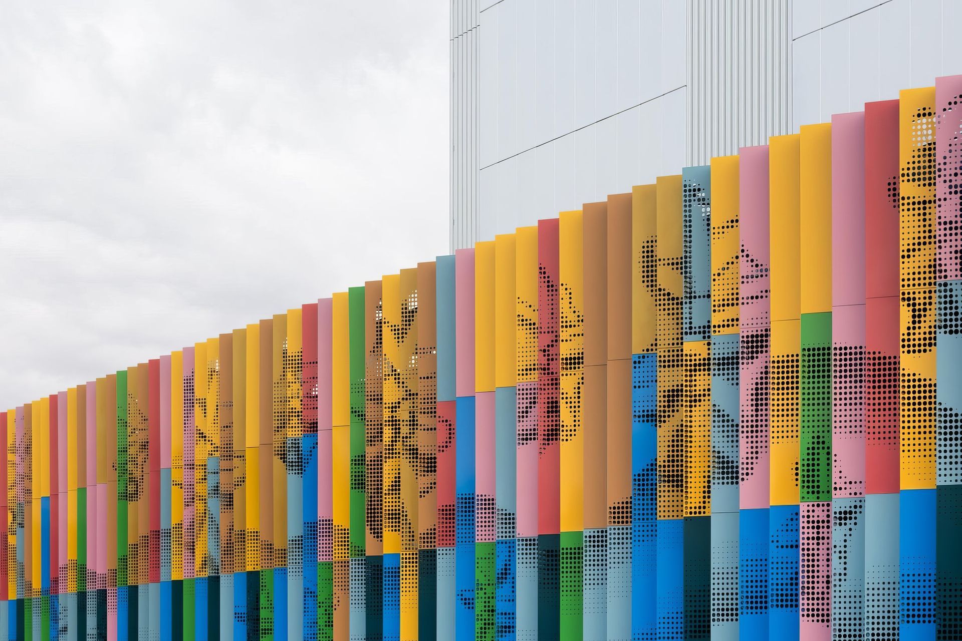 Supporting Image 1 for Chris Bryan Photography