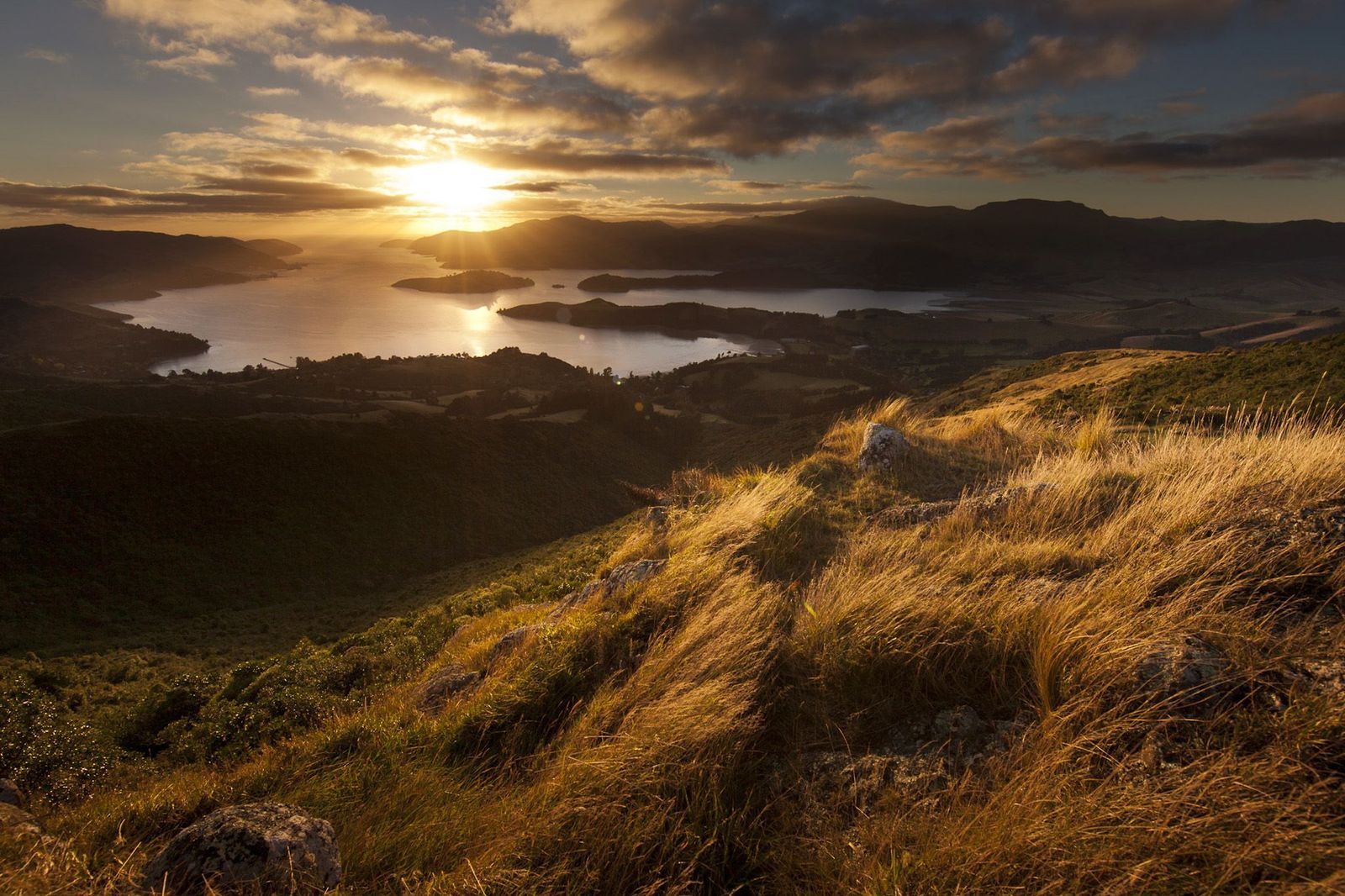 David Baird Photography