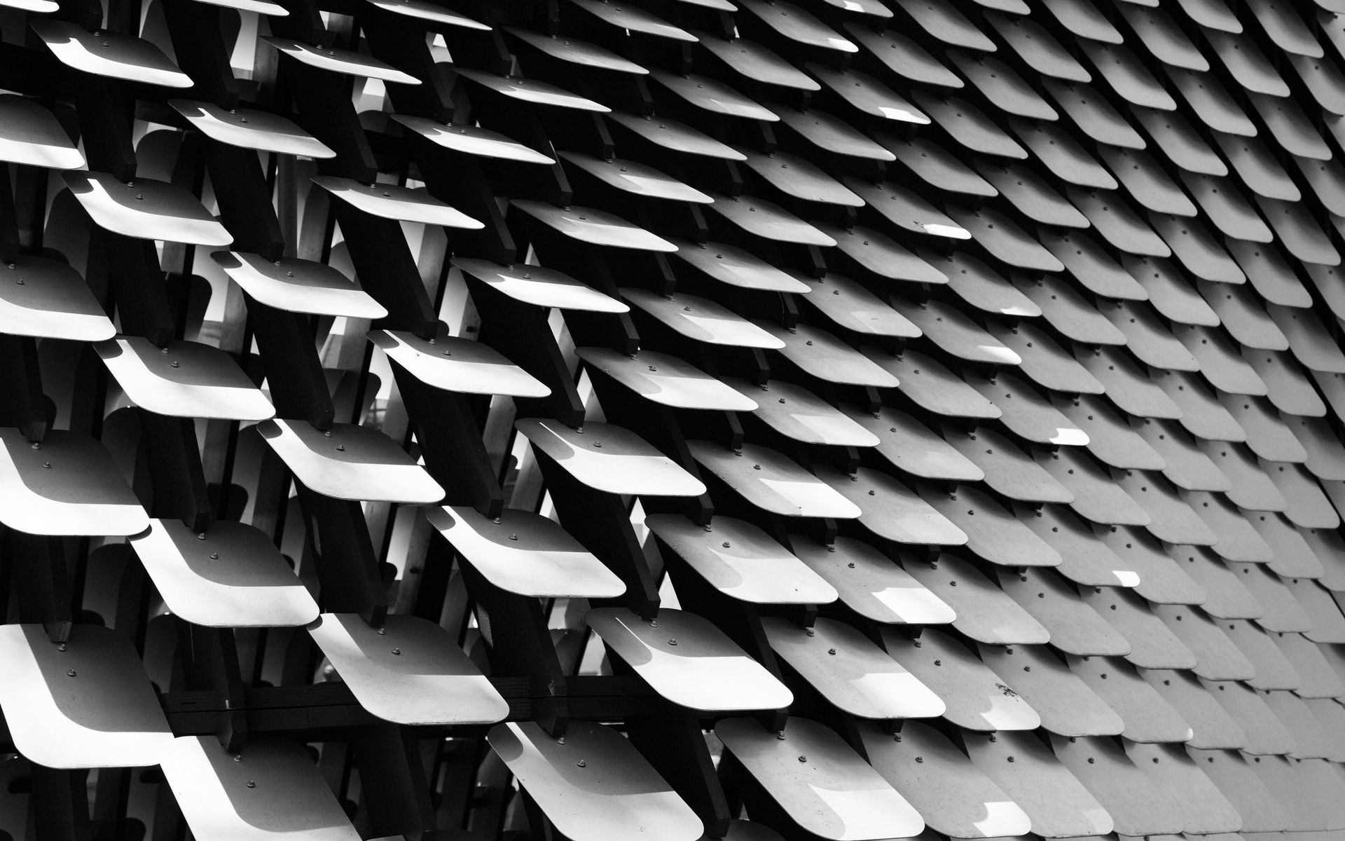 Supporting Image 3 for Sebastian Photography