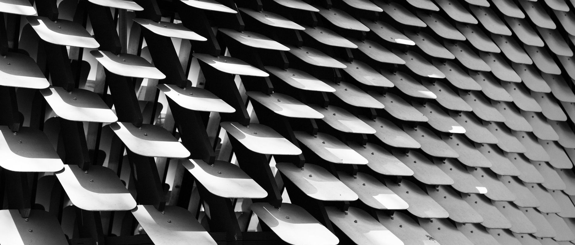 Supporting Image 3 for Sebastian Photography