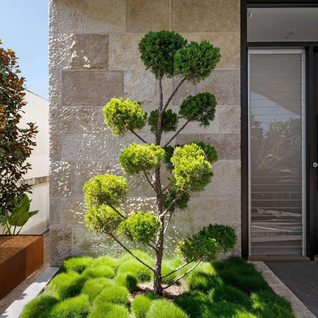 Exterior Architecture
