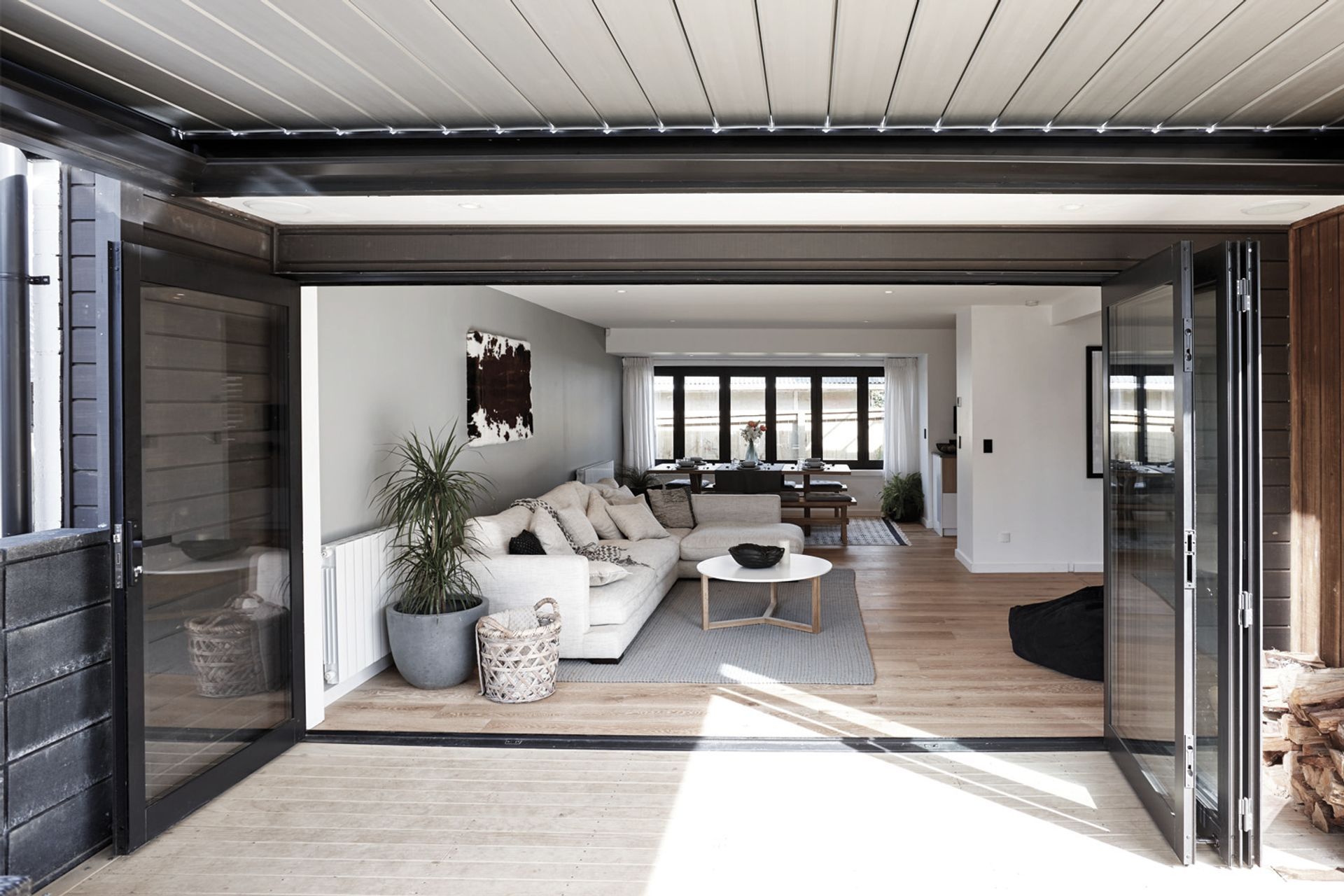 Hero Banner for Nebulite® Palmerston North