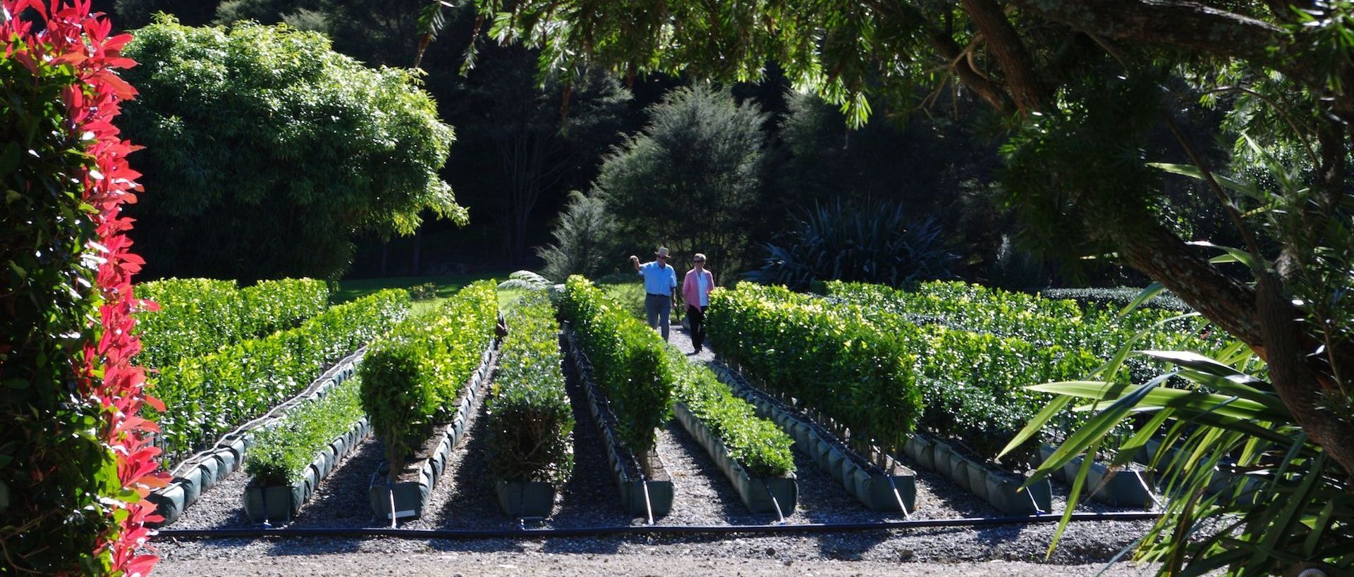 Supporting Image 4 for Twining Valley Nurseries