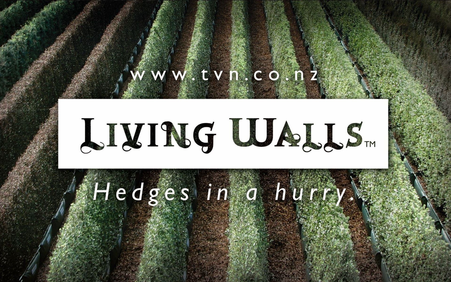Supporting Image 5 for Twining Valley Nurseries