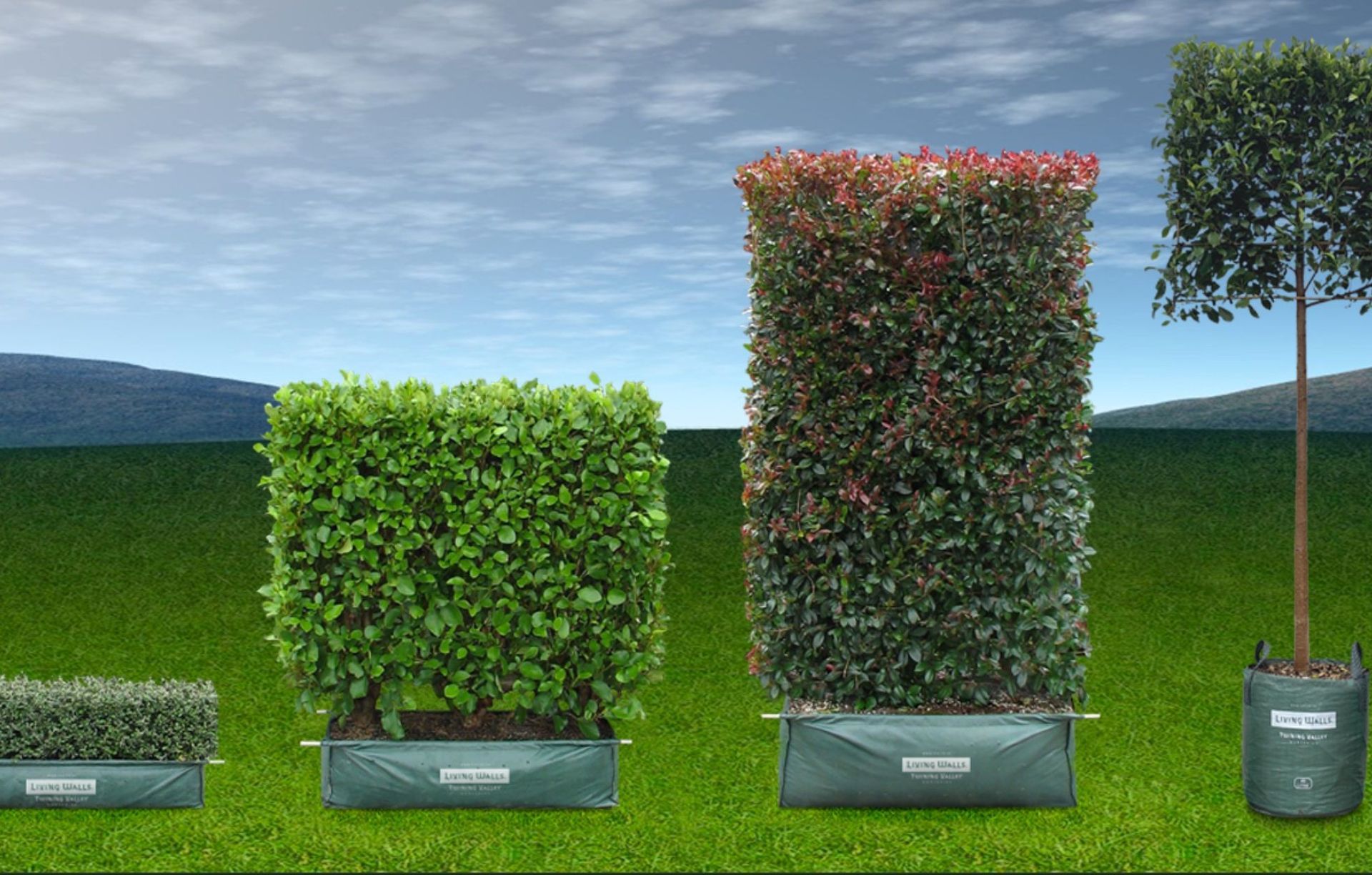 Twining Valley Nurseries