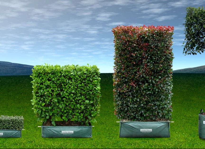 Twining Valley Nurseries