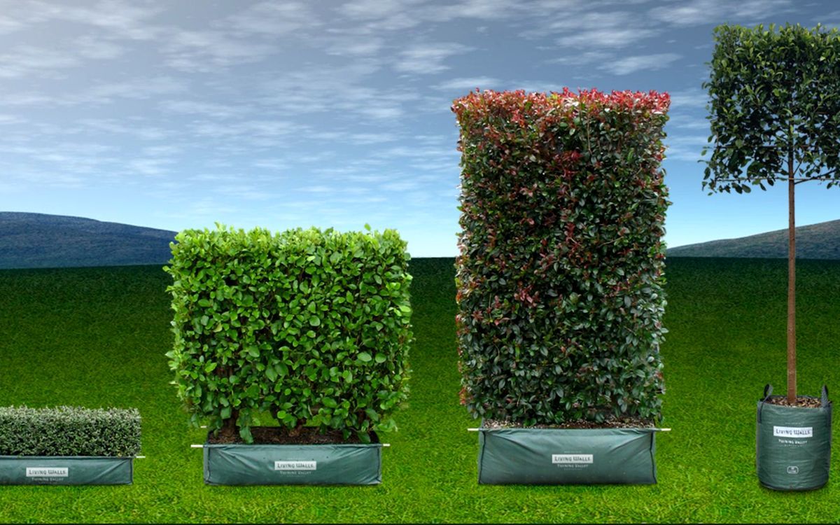 Hero Banner for Twining Valley Nurseries