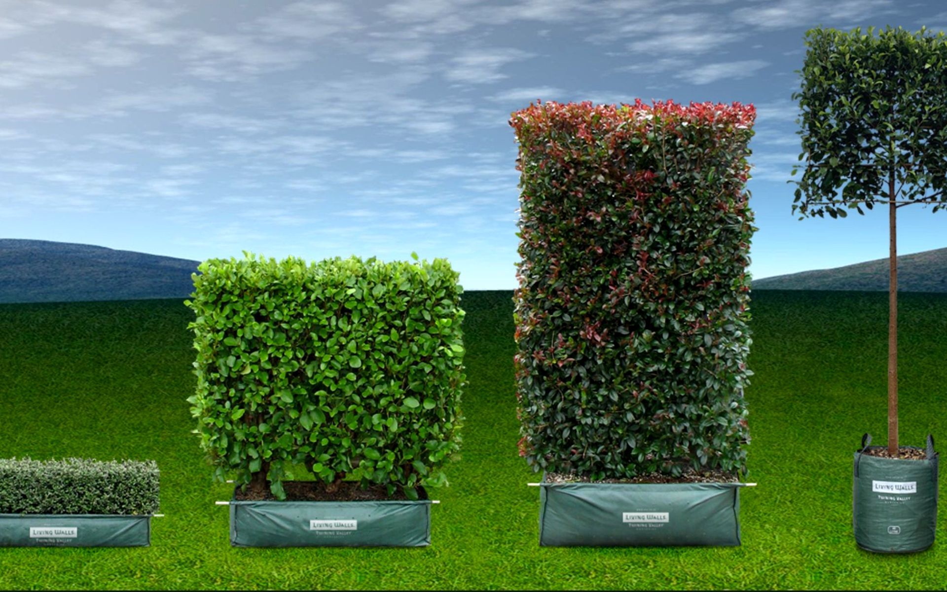 Hero Banner for Twining Valley Nurseries