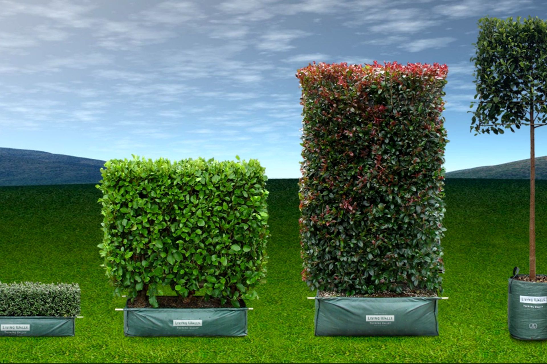 Hero Banner for Twining Valley Nurseries