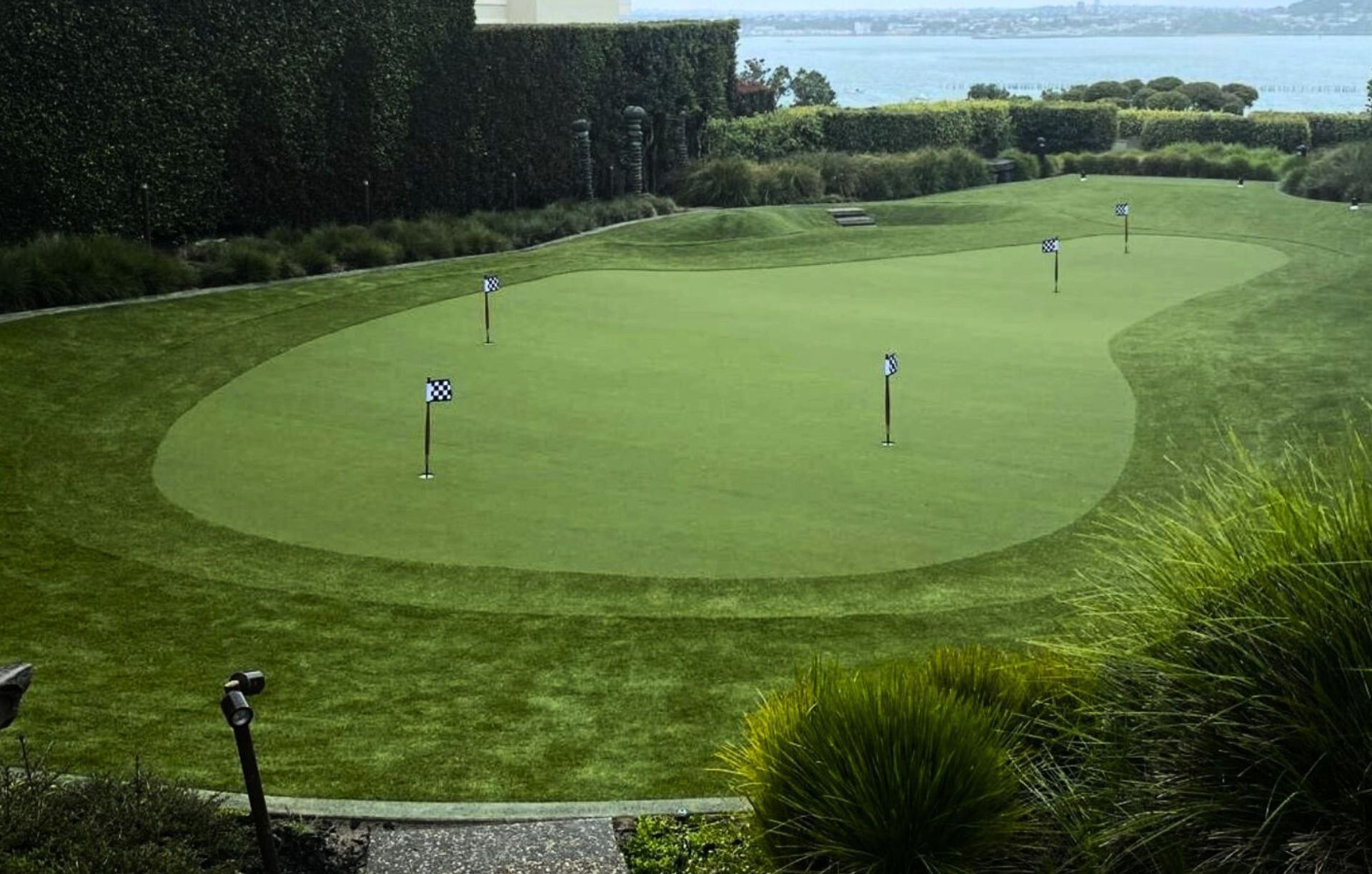 GameOn Turf