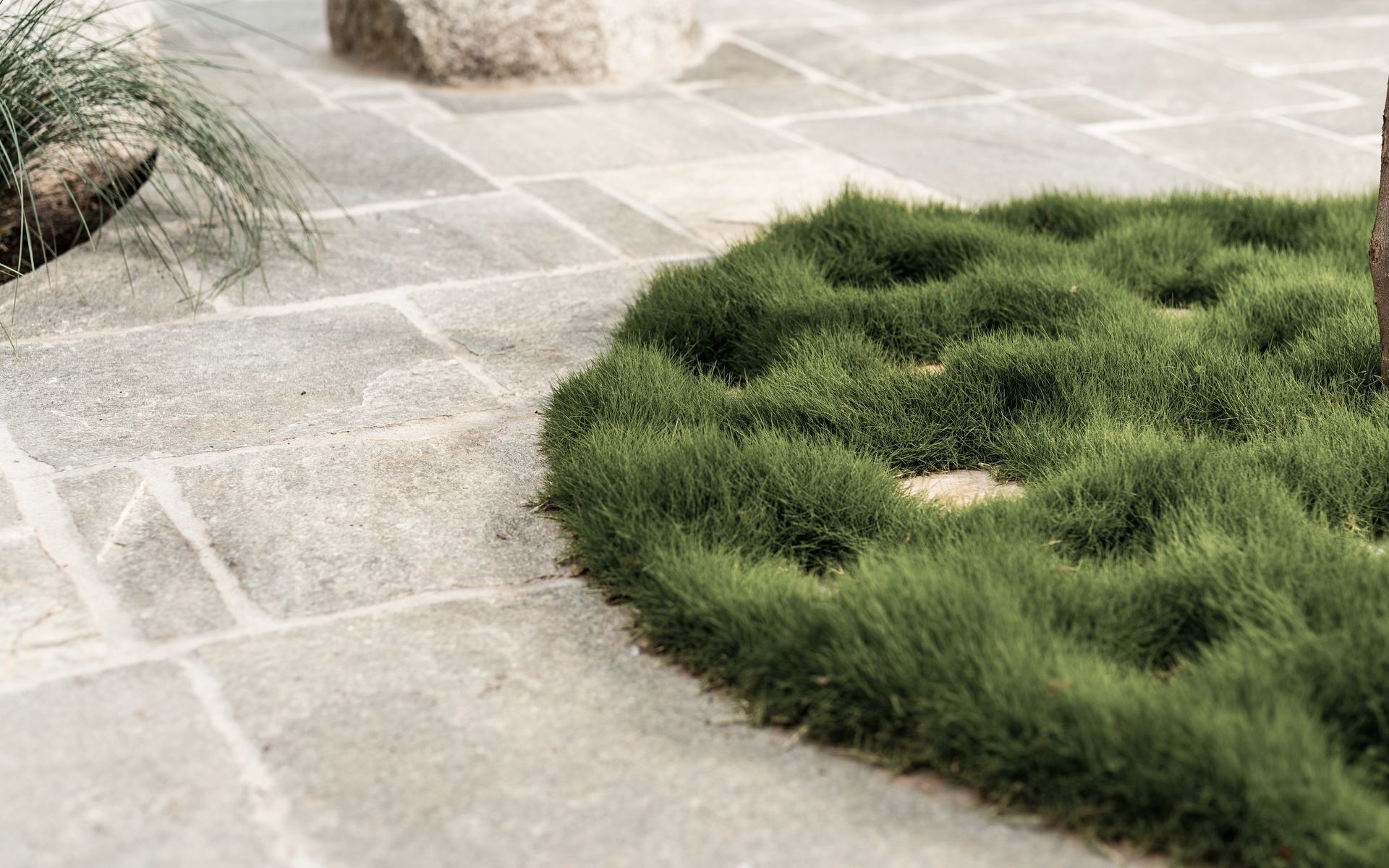 Supporting Image 5 for Eco Outdoor®