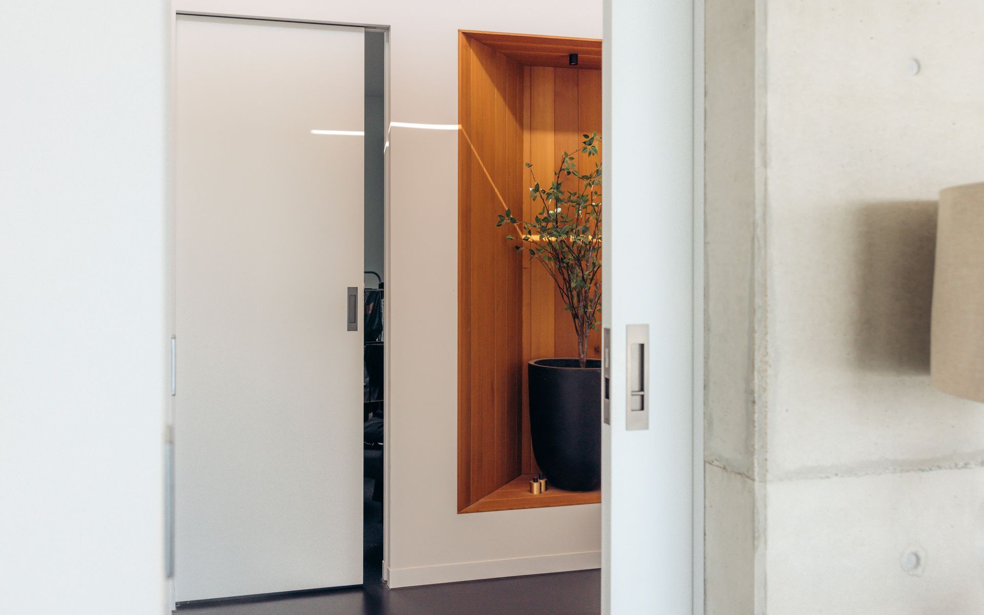 Supporting Image 3 for Triline Cavity Sliding Door solution