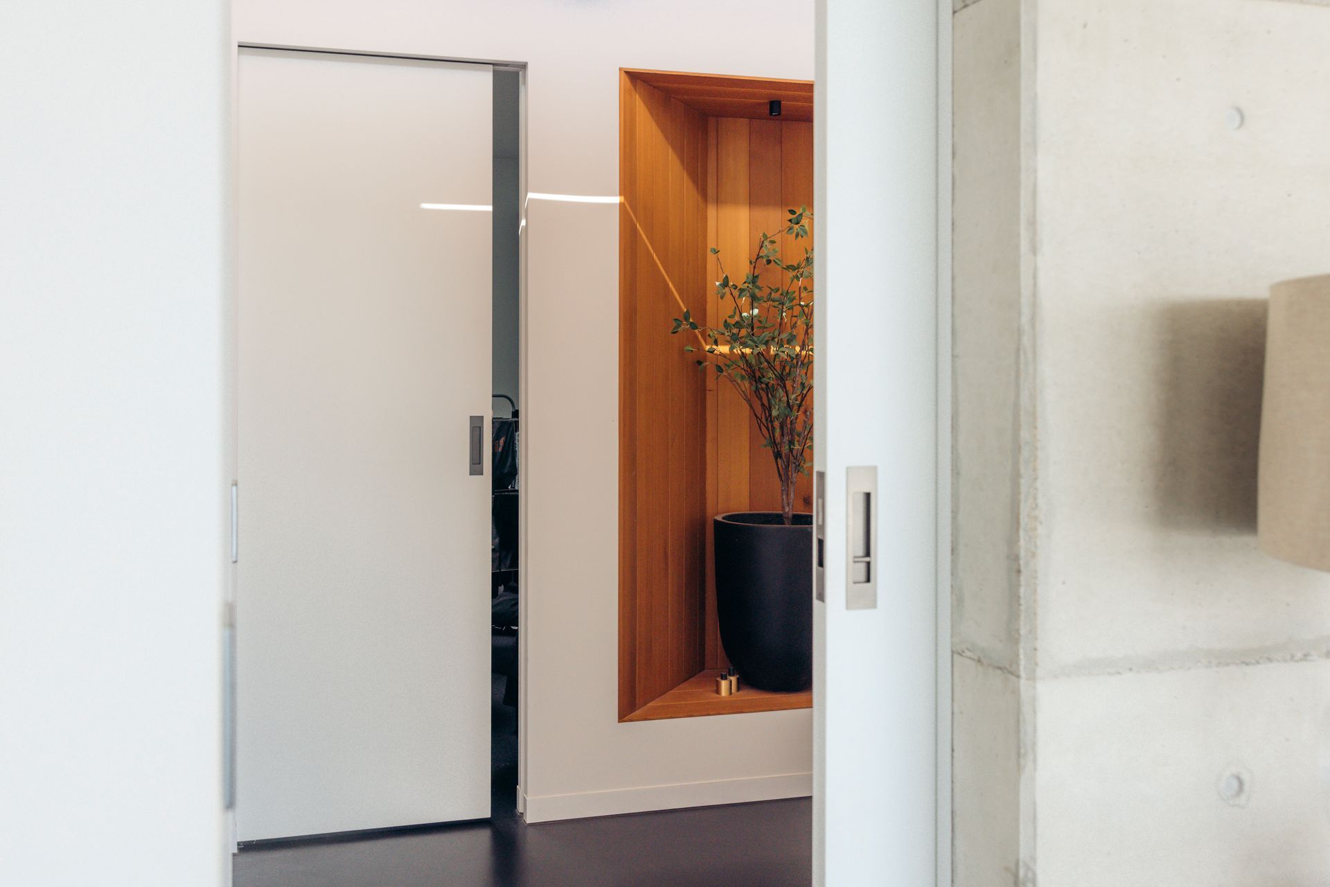 Supporting Image 3 for Triline Cavity Sliding Door solution