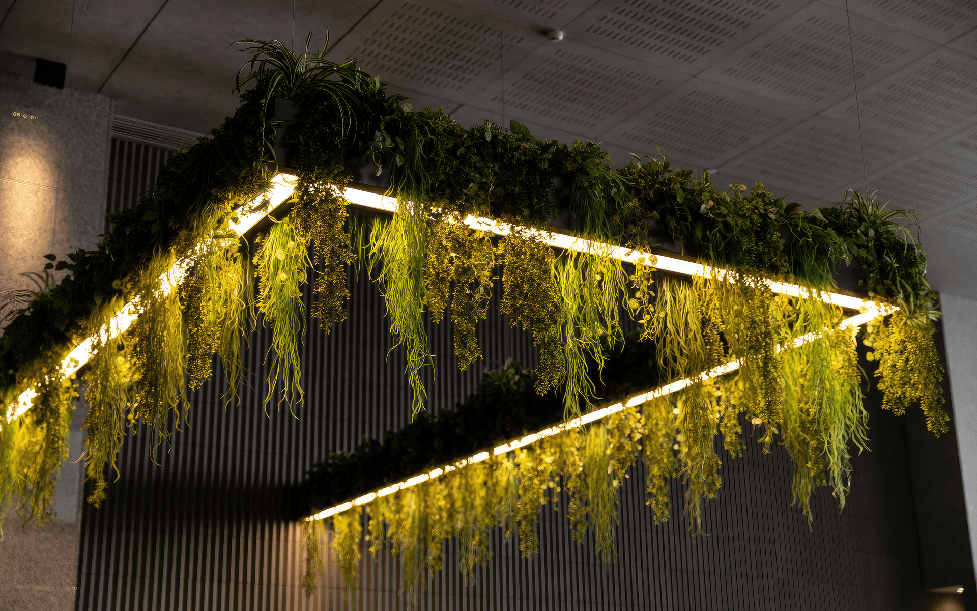 Supporting Image 3 for GreenAir