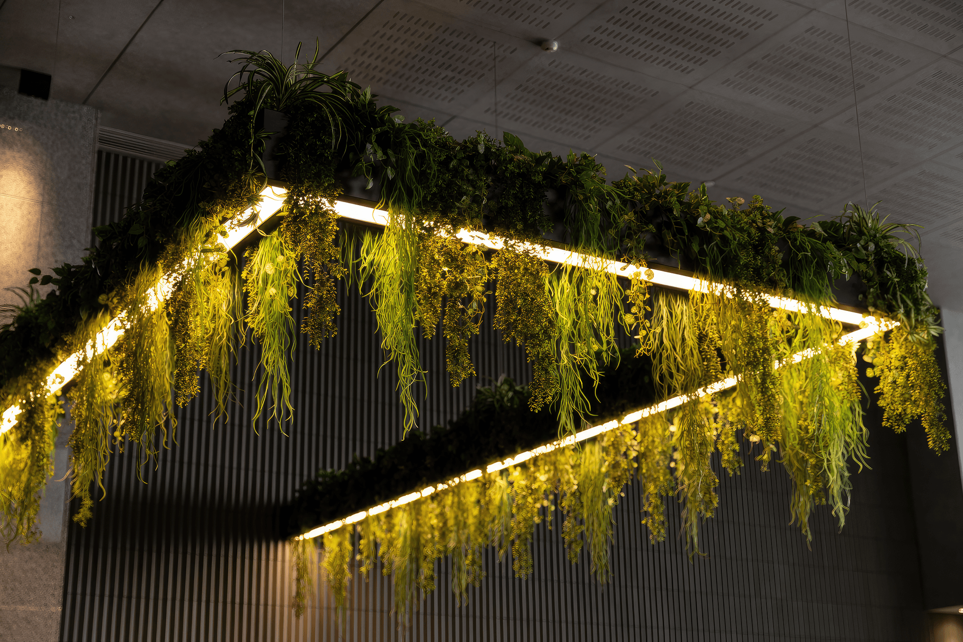 Supporting Image 3 for GreenAir