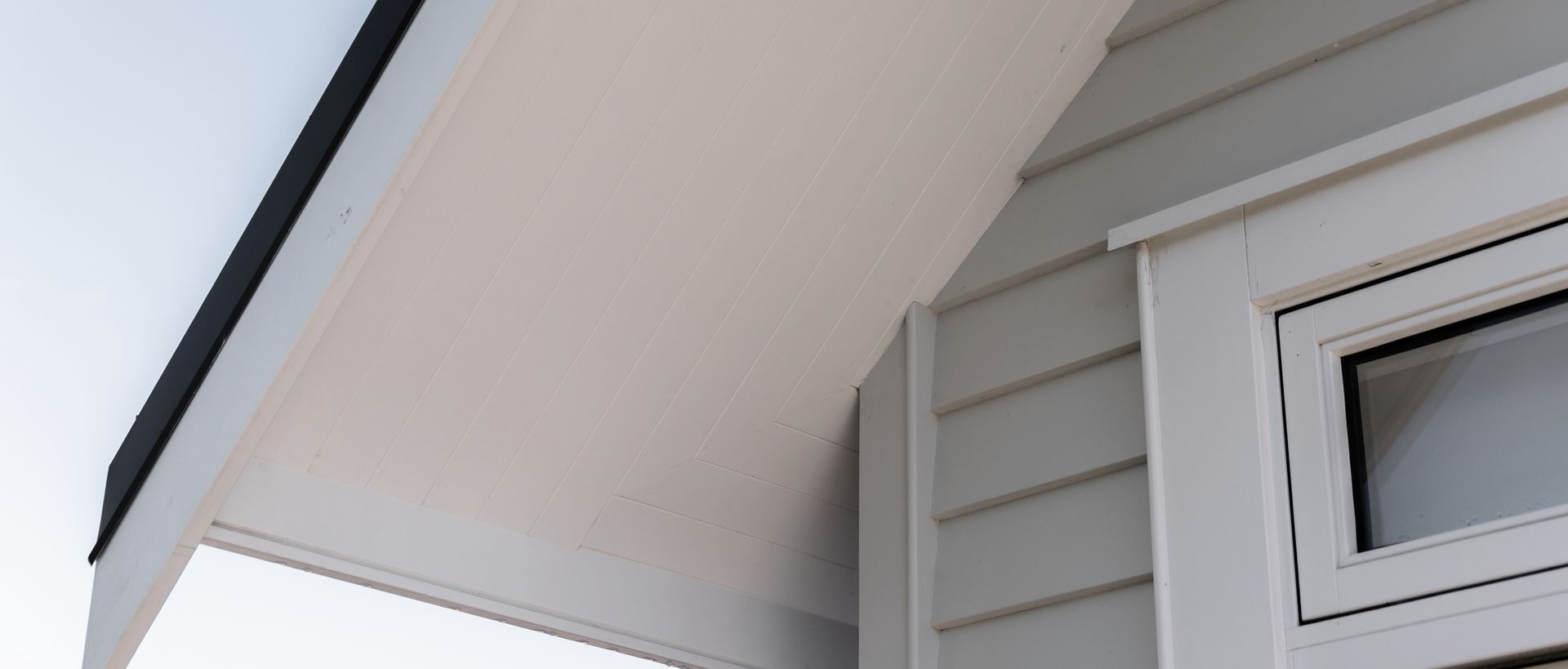 Hero Banner for South Pacific Timber