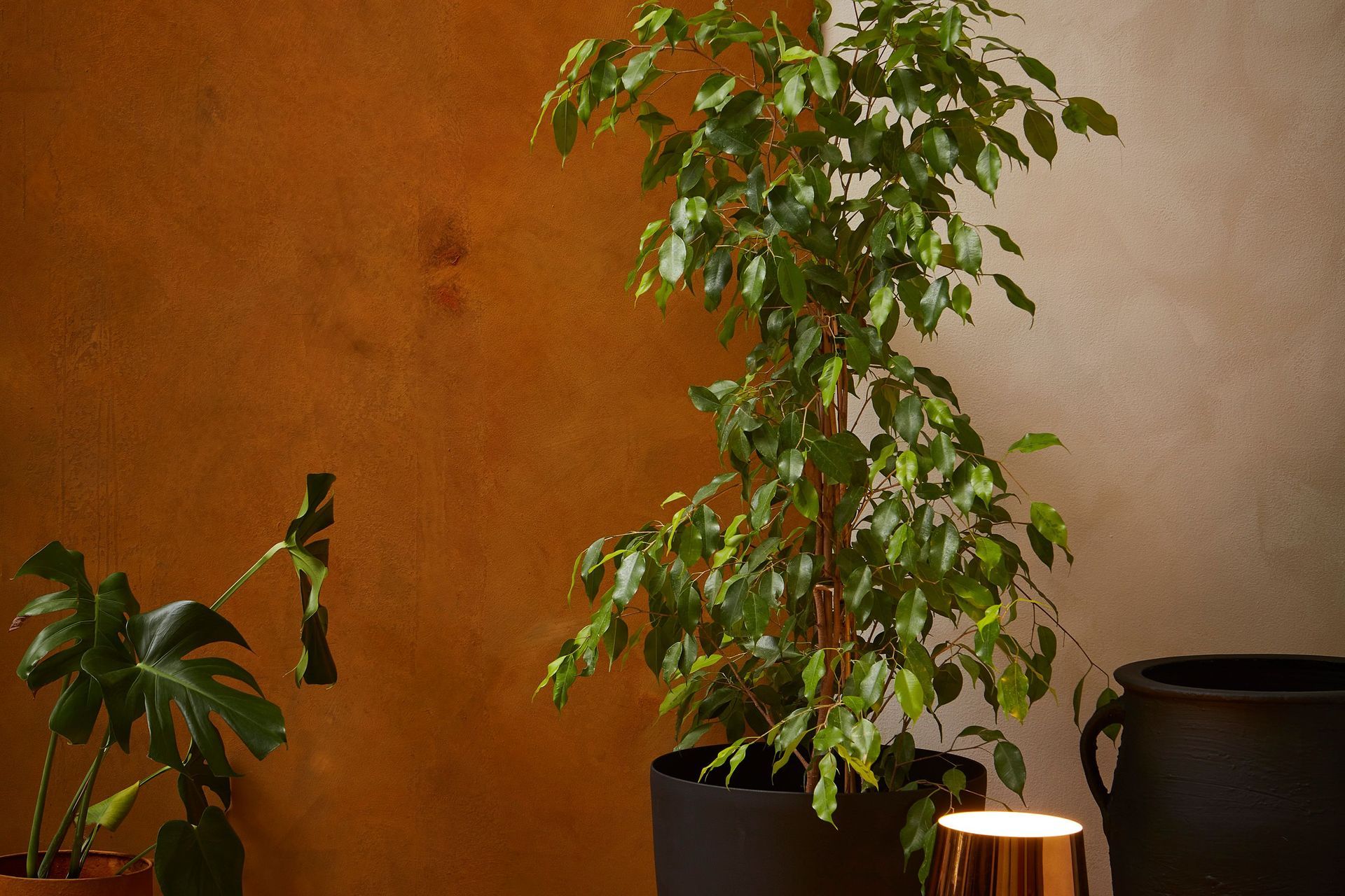 Supporting Image 1 for Resene