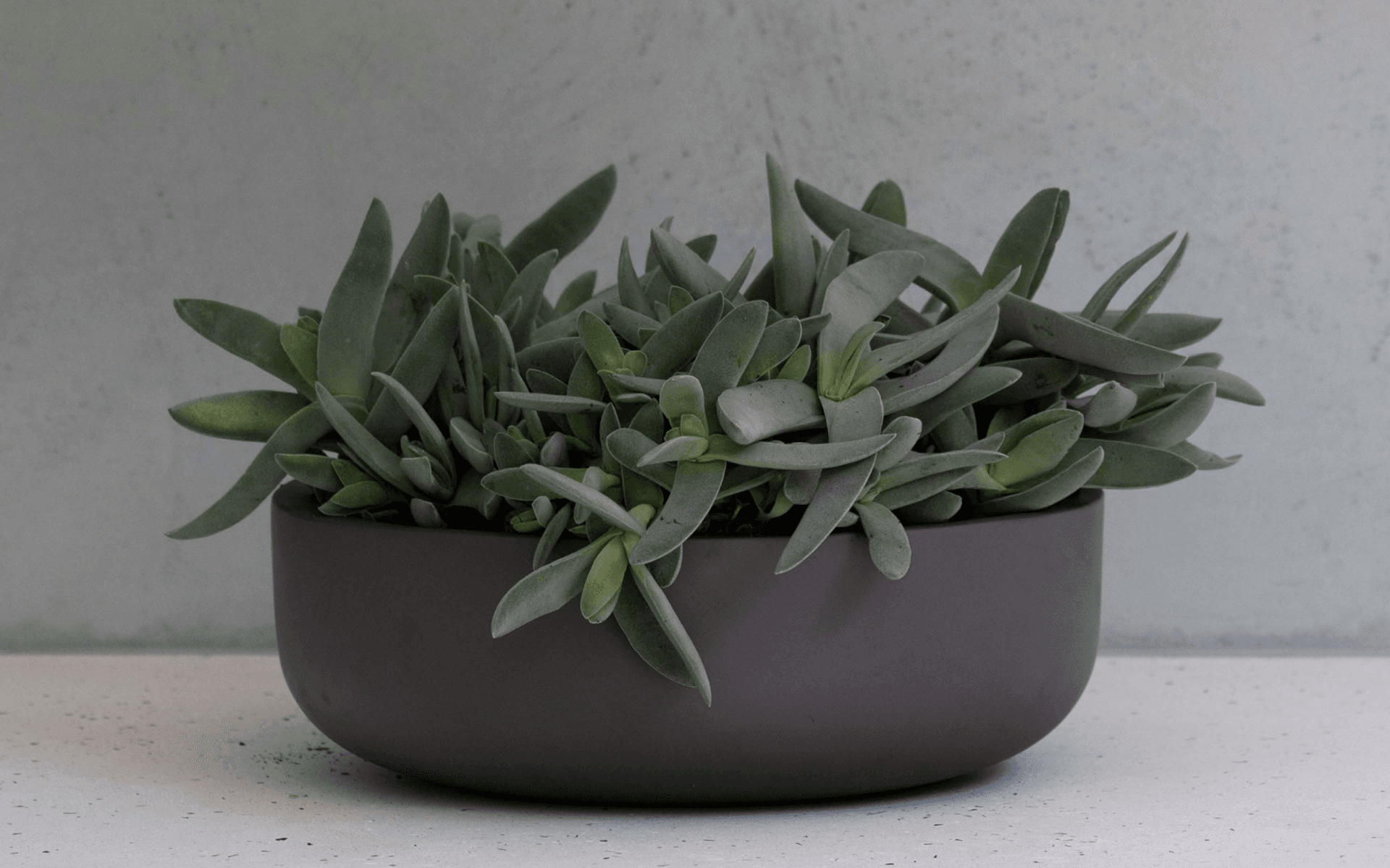 Supporting Image 1 for Hibernate Outdoors