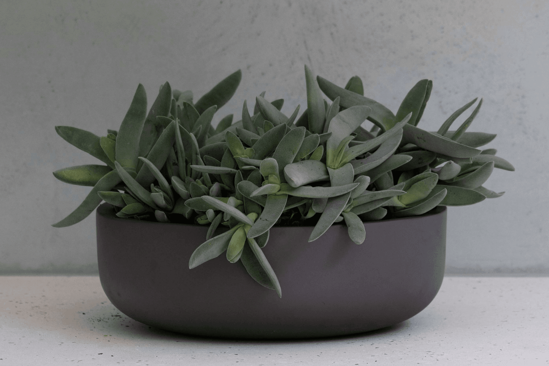 Supporting Image 1 for Hibernate Outdoors