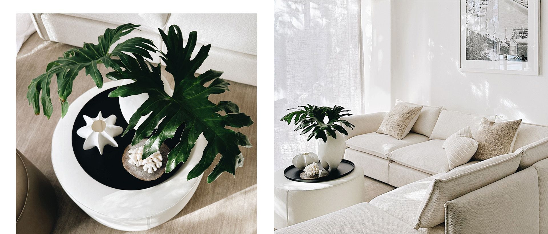 Supporting Image 2 for Indie Home