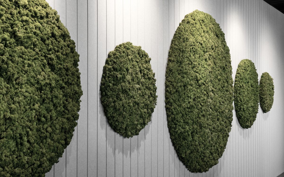 Supporting Image 7 for Autex Acoustics
