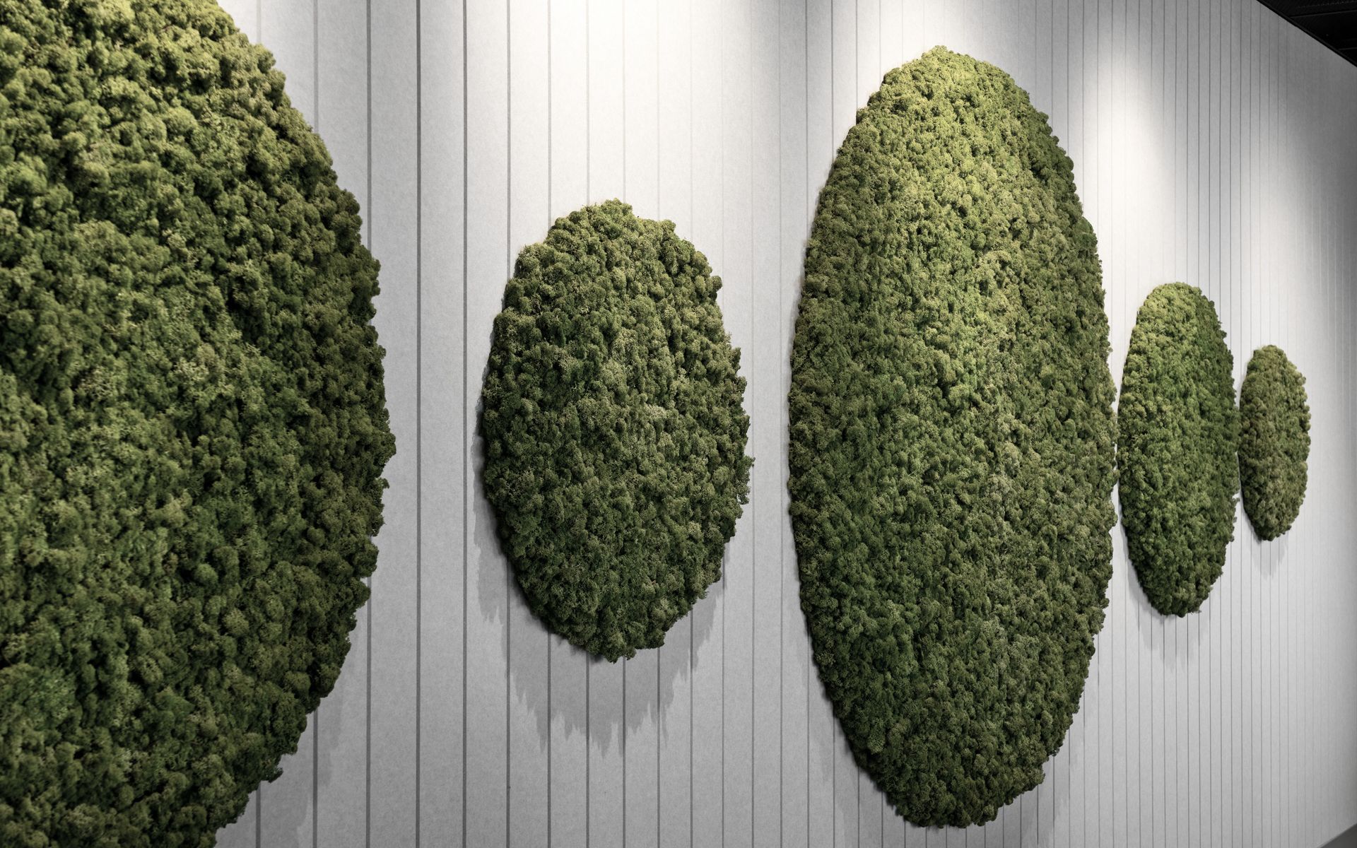 Supporting Image 7 for Autex Acoustics