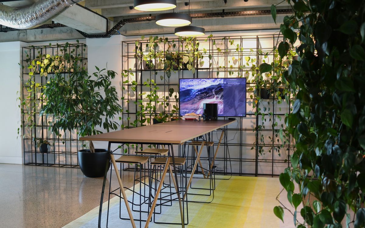 Supporting Image 3 for Hire Plants