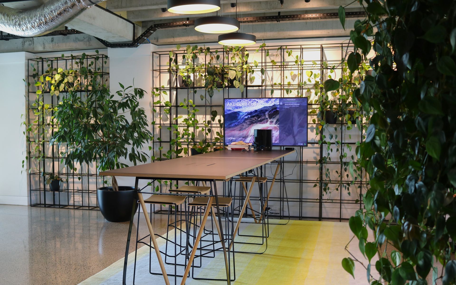 Supporting Image 3 for Hire Plants