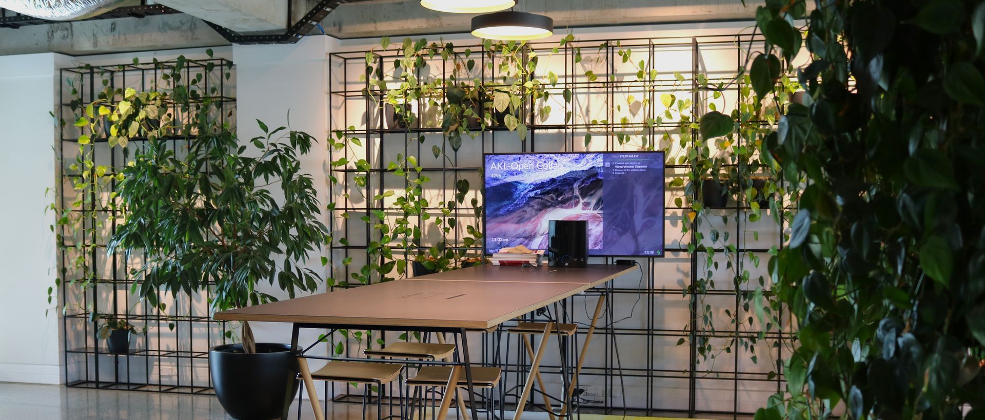 Supporting Image 6 for Hire Plants