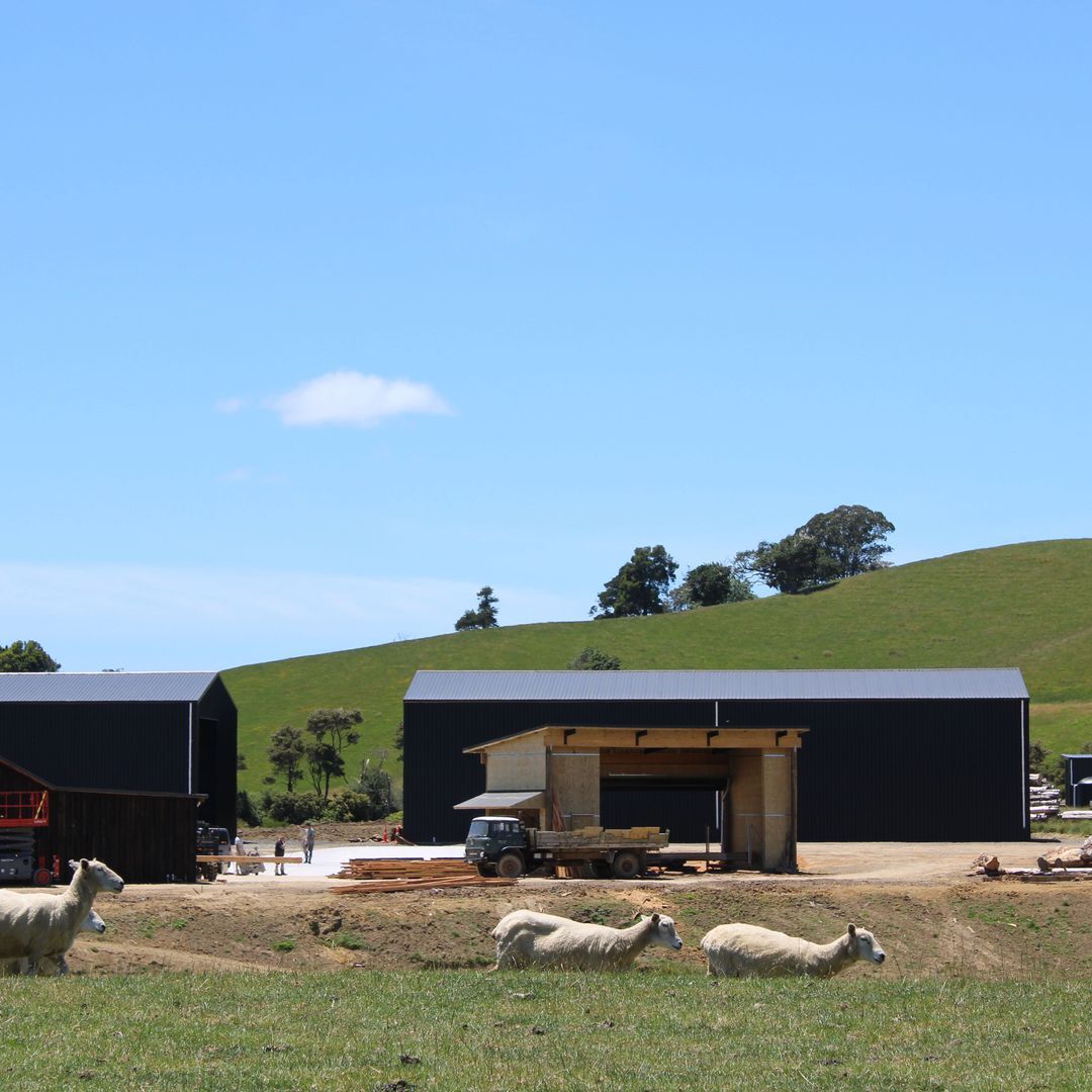 Hansen Timber