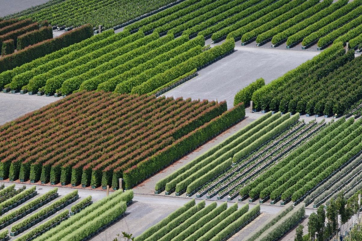 Twining Valley Nurseries