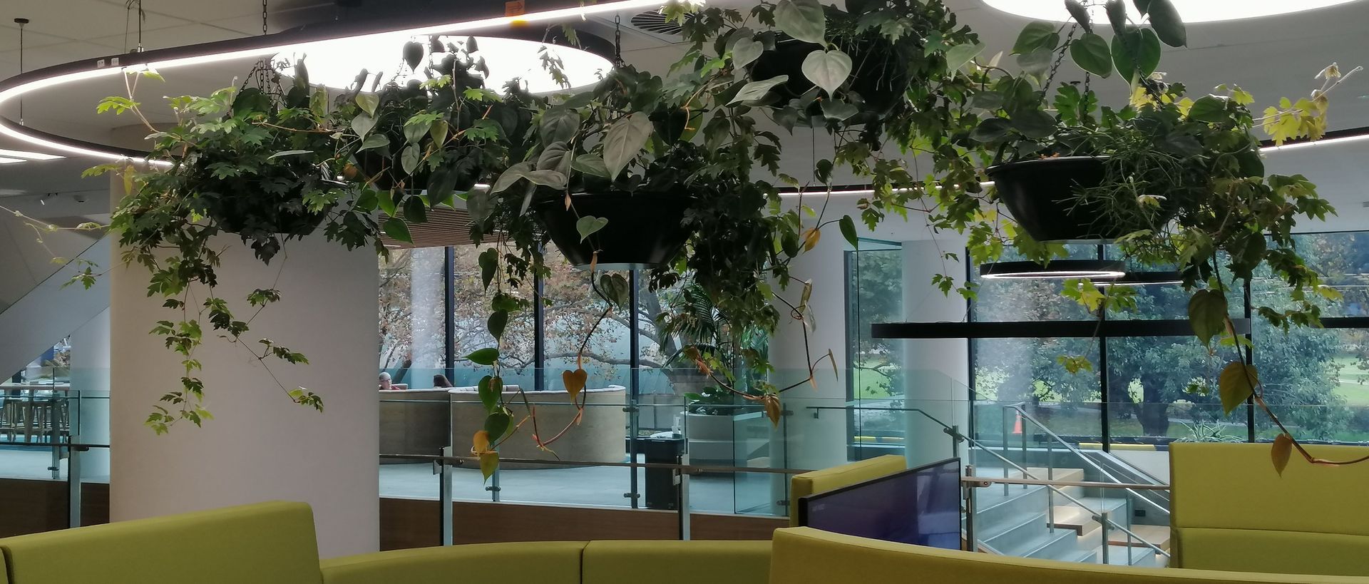 Supporting Image 1 for Hire Plants