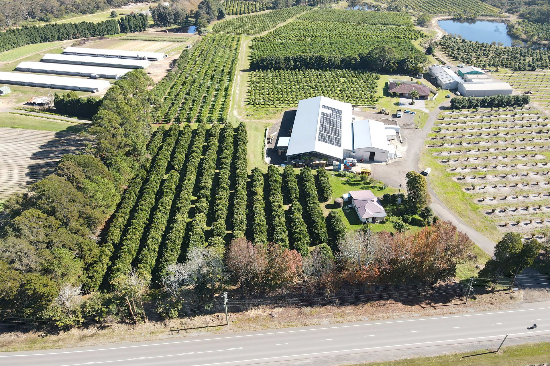 Hero Banner for Cyanergy