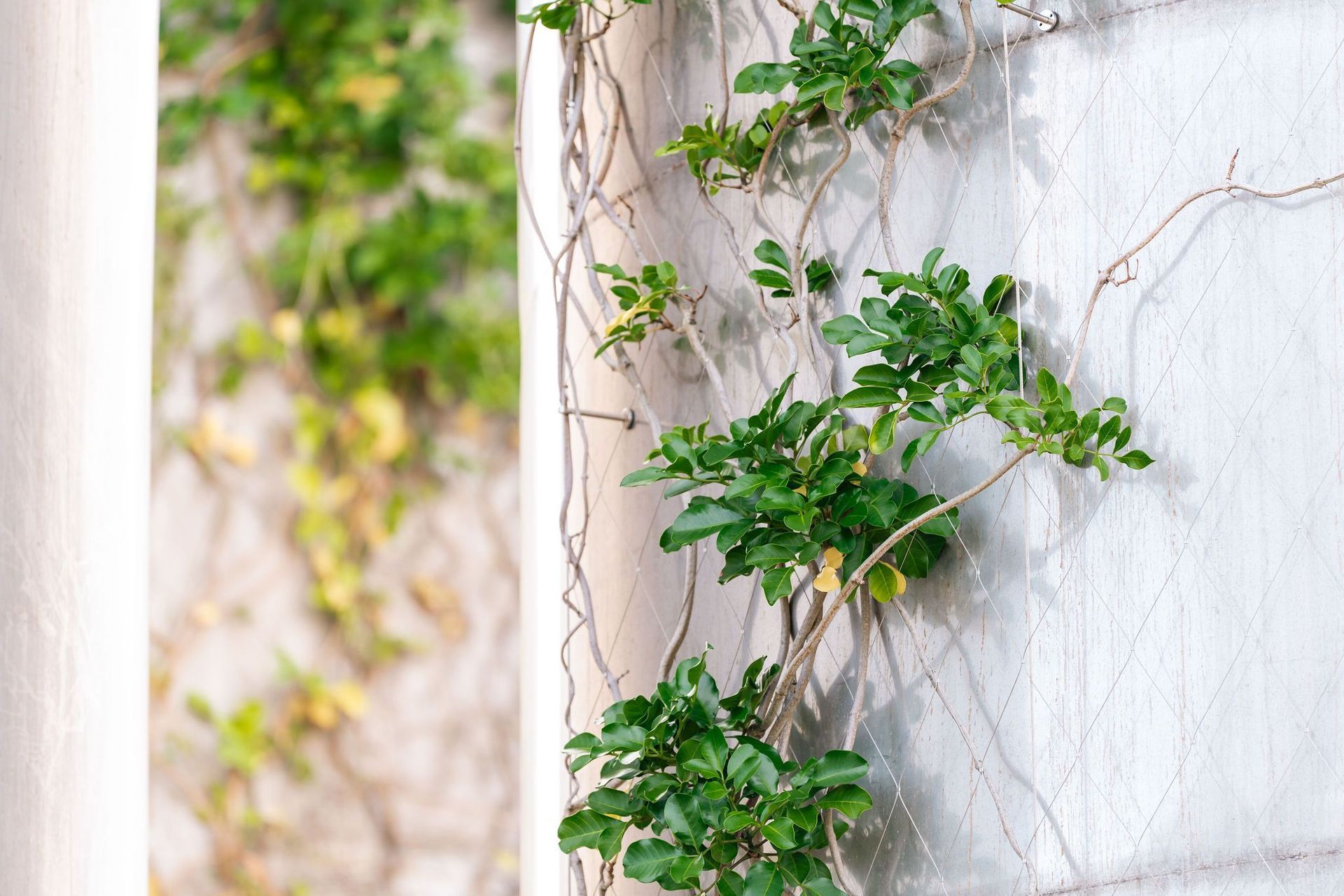 Supporting Image 2 for SRS Group NZ Ltd