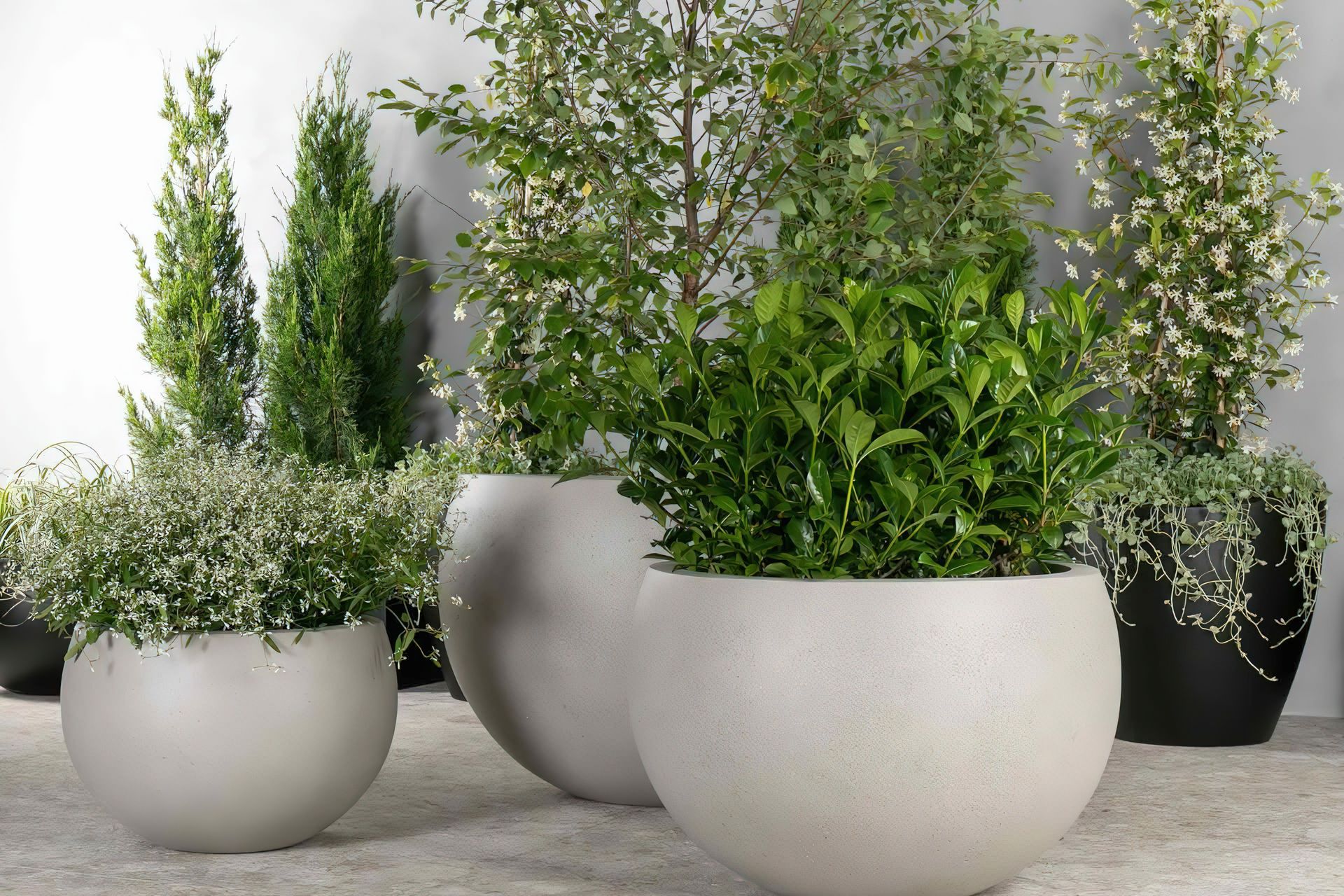 Supporting Image 3 for Just Add Plants