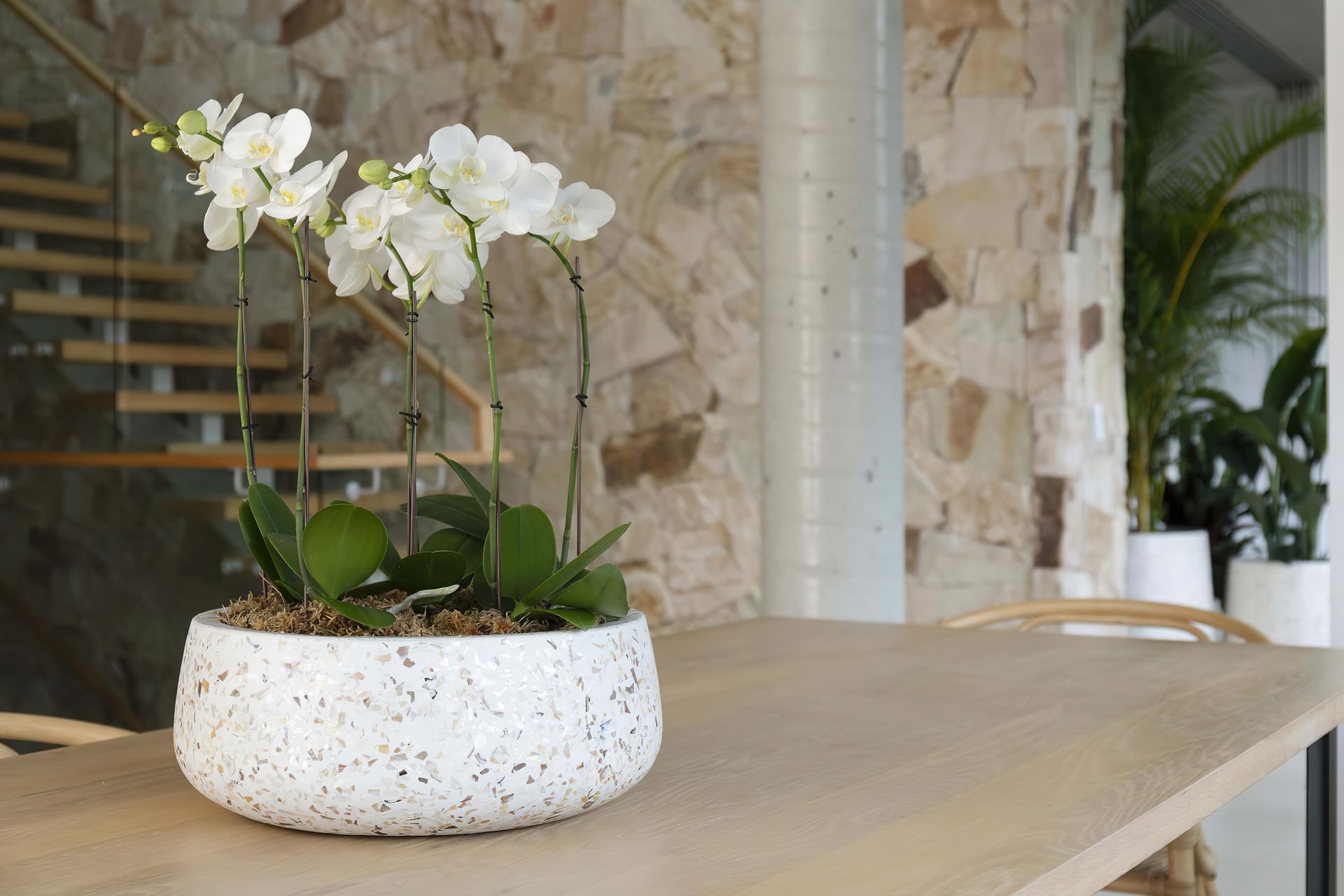 Hero Banner for Just Add Plants