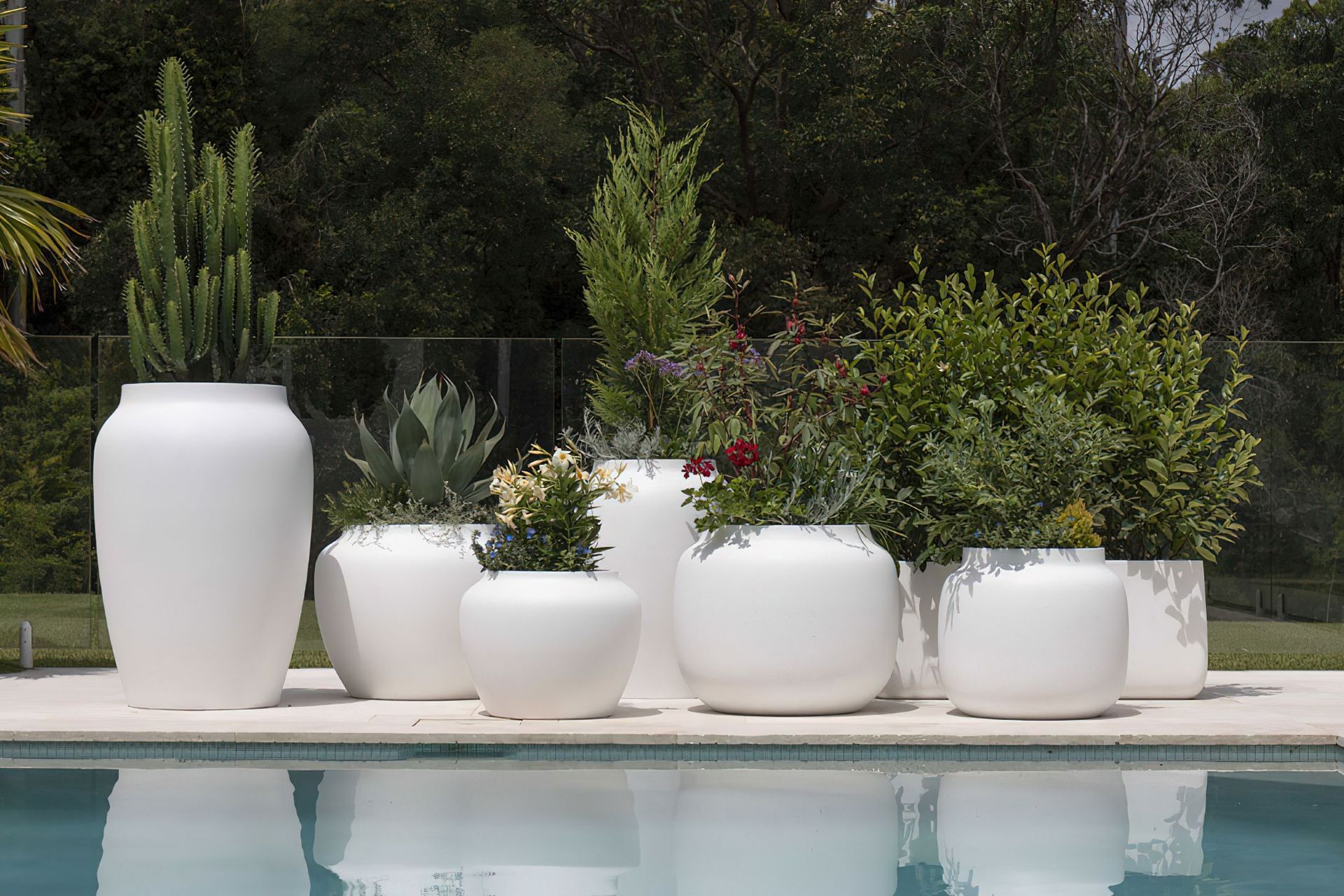 Supporting Image 4 for Just Add Plants